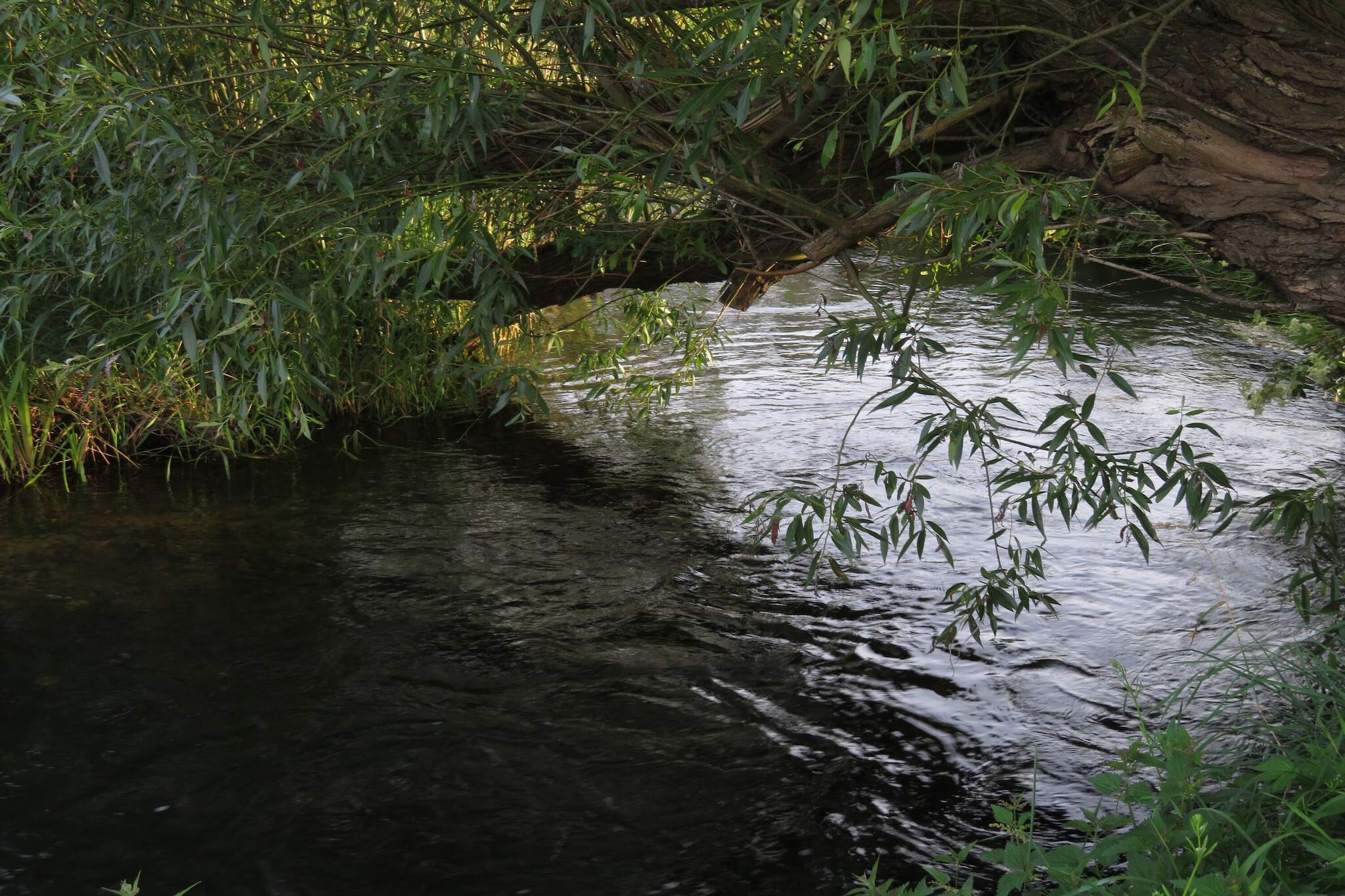 4 Personen Ferienhaus in Hadsund-By Traum-Wasserblick