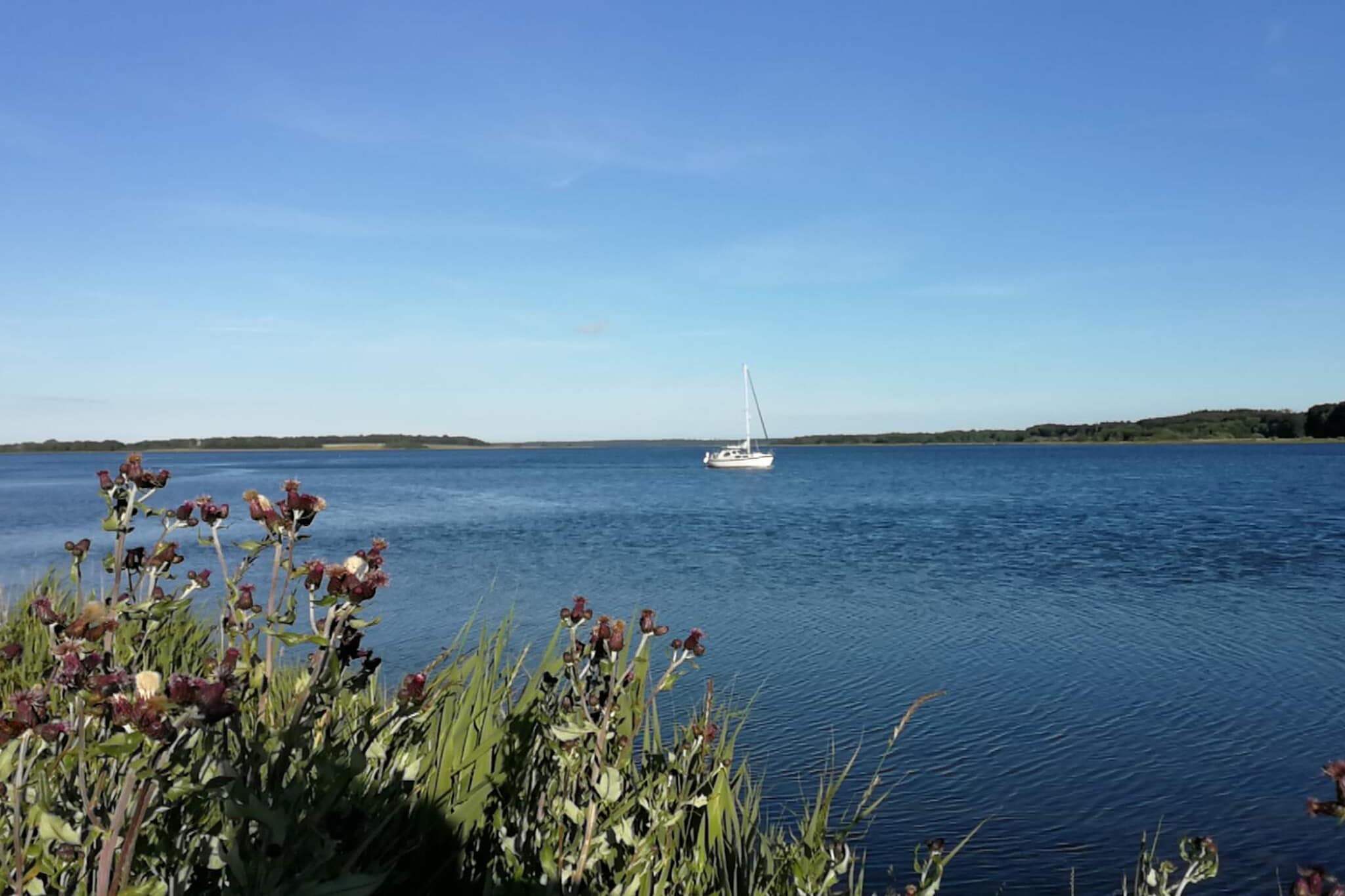 4 Personen Ferienhaus in Hadsund-By Traum-Wasserblick