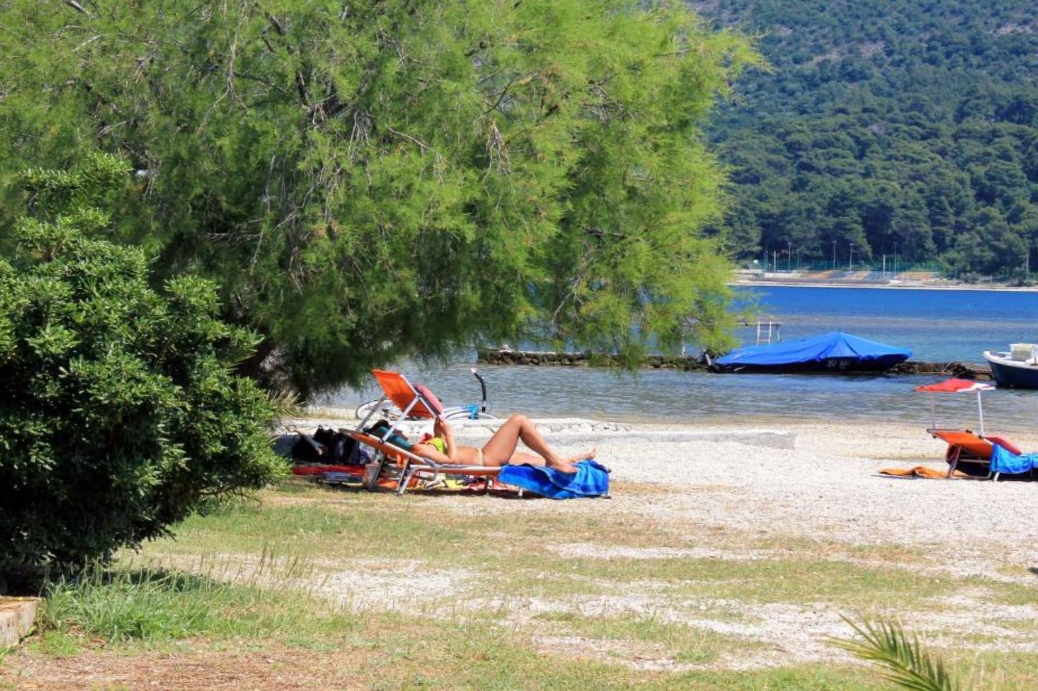 Apartment Gabrijela - One Bedroom Apartment with Sea View