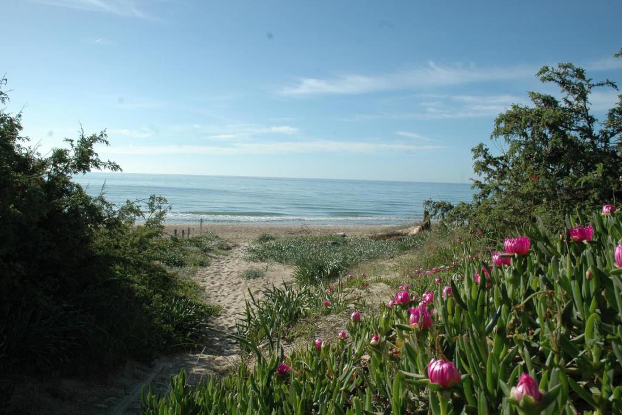 I Turchesi - Club Village 1 - Bilo Comfort-Areas summer 20km