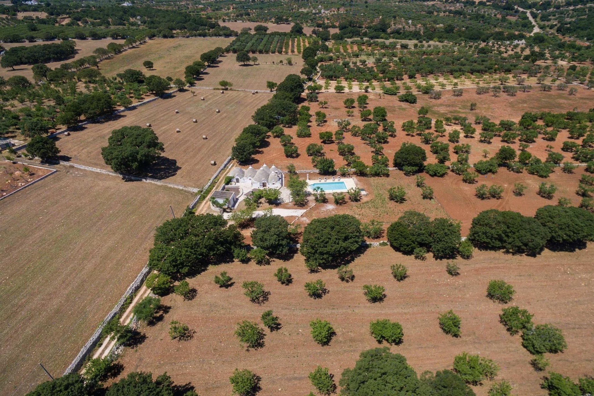 Magnificent Stefano's Trulli in Locorotondo - Areas within 5km in summer