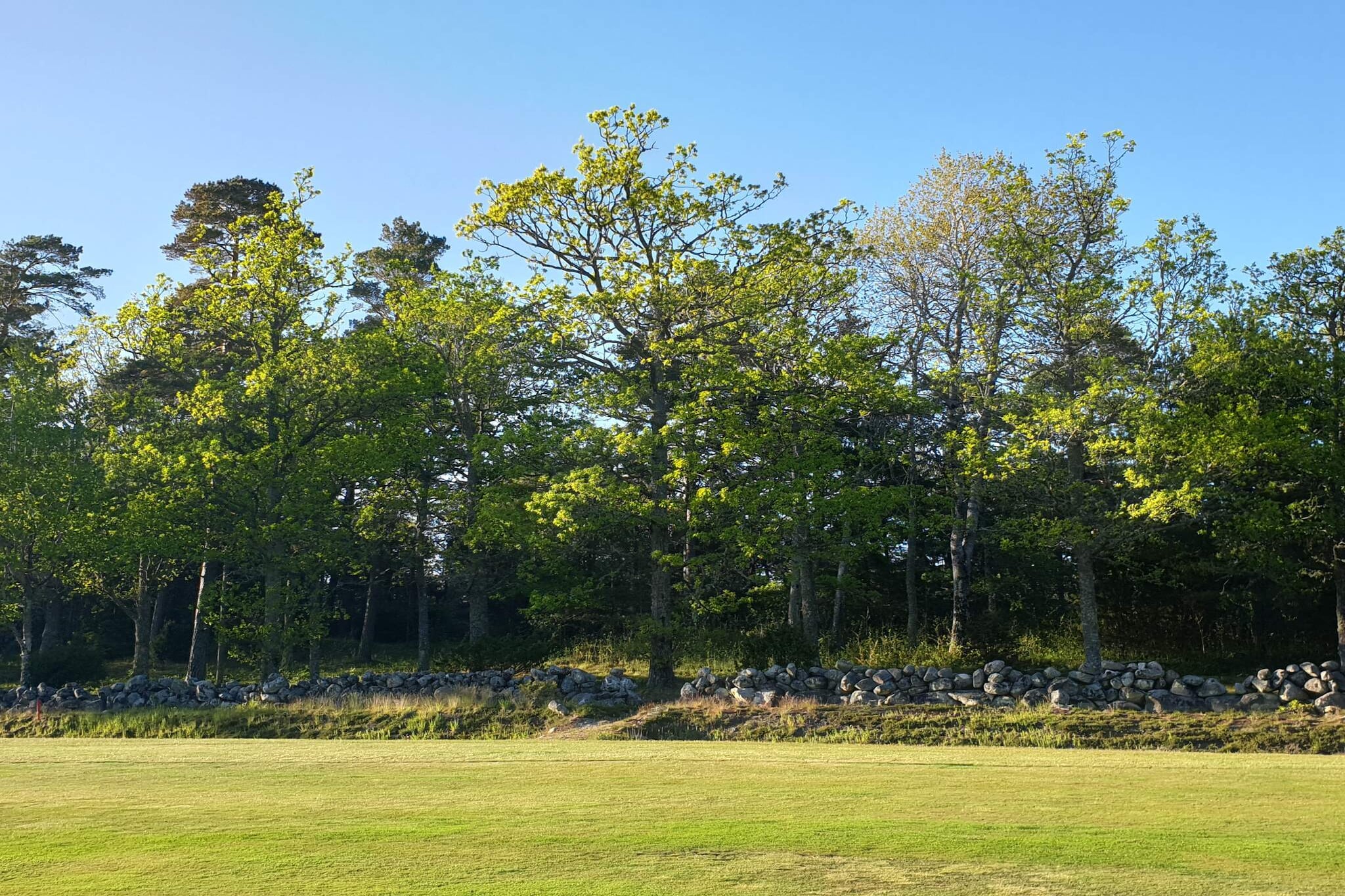 4 Sterne Ferienhaus in tånumshede-By Traum-Nicht zugeordnet