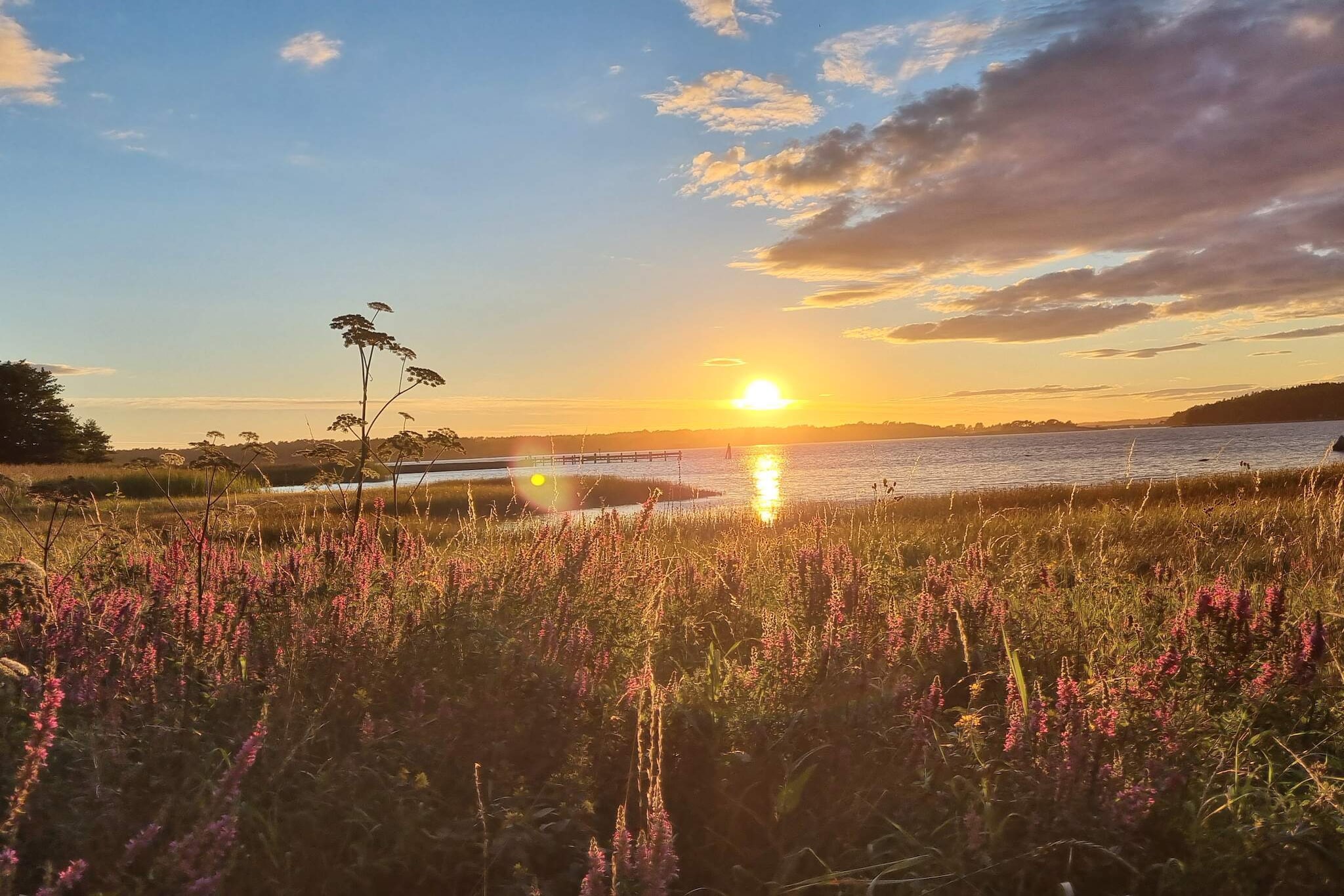 4 Sterne Ferienhaus in tånumshede-By Traum-Nicht zugeordnet