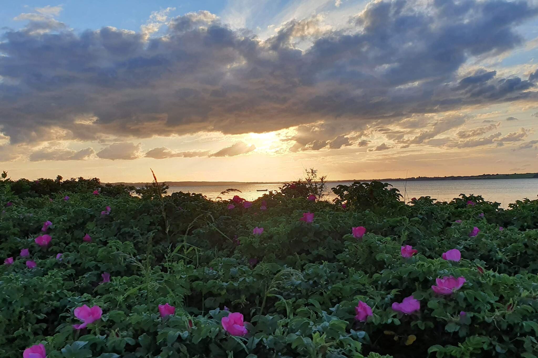 4 persoons vakantie huis in Holbæk-By Traum-Waterzicht
