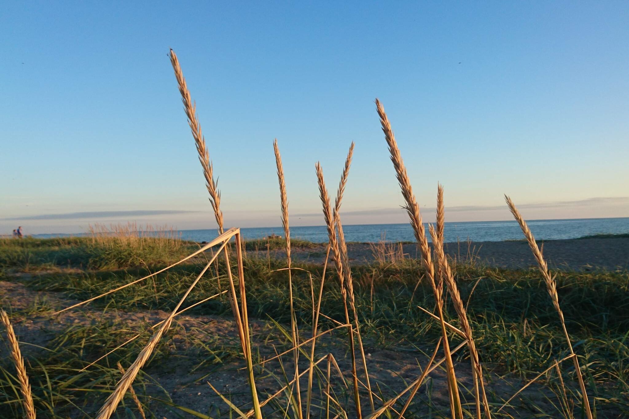 5 persoons vakantie huis in Karrebæksminde-Niet-getagd
