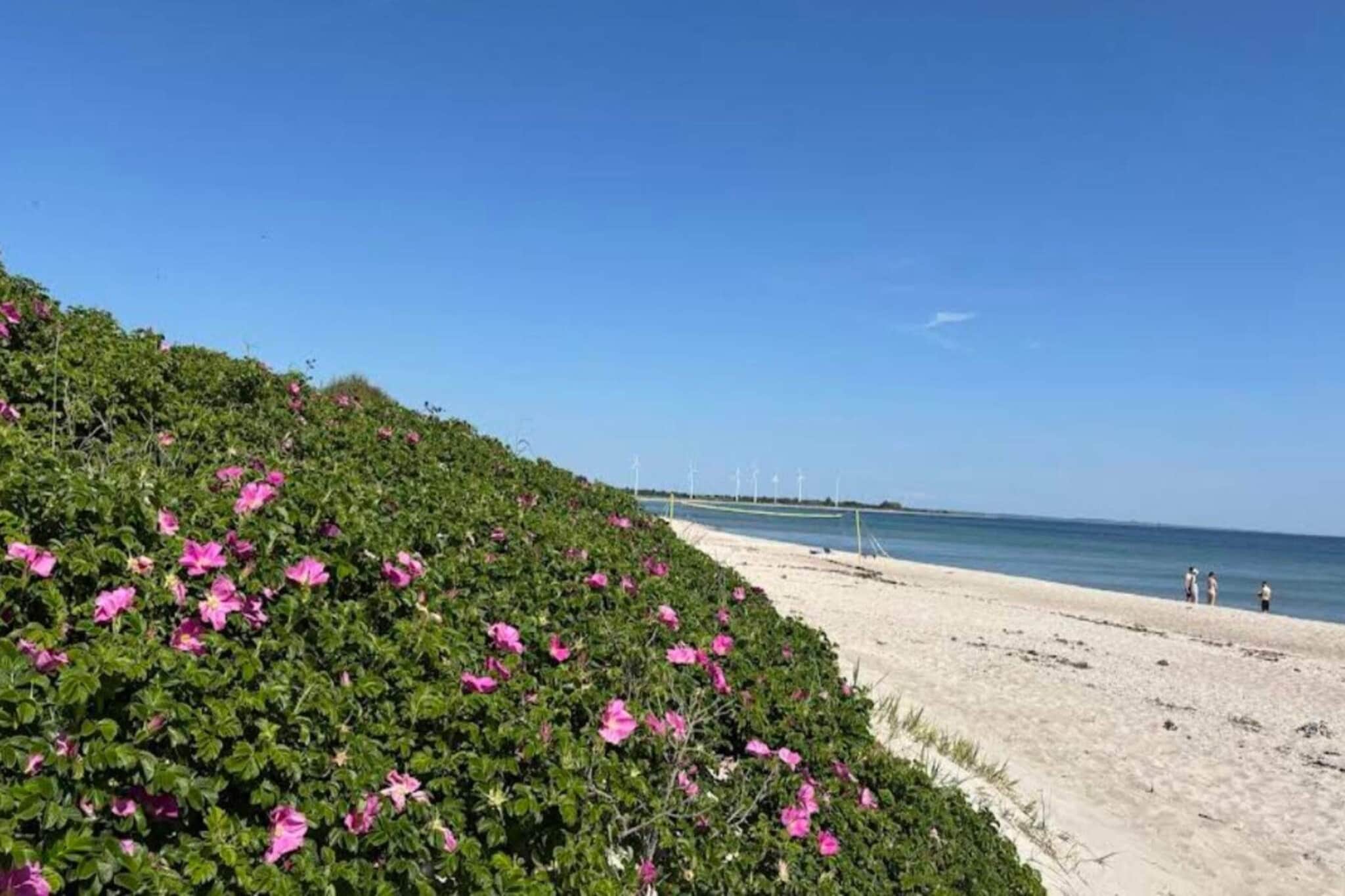 4 sterren vakantie huis in Sydals-By Traum - Waterzicht