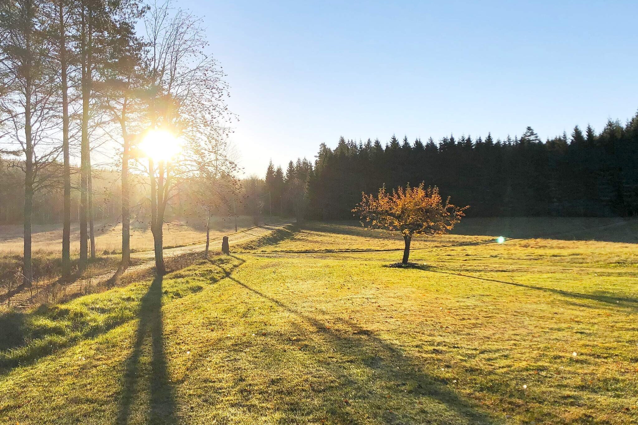 Slow down and enjoy the peace. An idyllic and charming red cottage with that little extra that gives a feeling of calm and harmony. An accommodation for the large family or the larger group. The house is spacious and suitable for the group that wants to experience peace but be close to beautiful swimming excursions and beautiful surroundings. You are welcomed into a bright hall. To the right is a large living room with plenty of social areas. Adjacent is the house's one bedroom with a convertible bed. The kitchen is modern, white and country style. The charm of the old remains, combined with a new kitchen. Straight ahead is a large bathroom with toilet and shower. The stairs up take you to a large family room with wooden beams and a fireplace. Up here is a large bedroom with a double bed. There is also another bathroom with shower and toilet. Next to the family room is the house's third bedroom with a bunk bed and two single beds. This is how you can live with the whole family and relatives. The house shares land with another house, which can be booked with advantage if you are a large group. House 56391. A warm welcome to beautiful accommodation in a perfect location with pleasant excursions with swimming and nature.