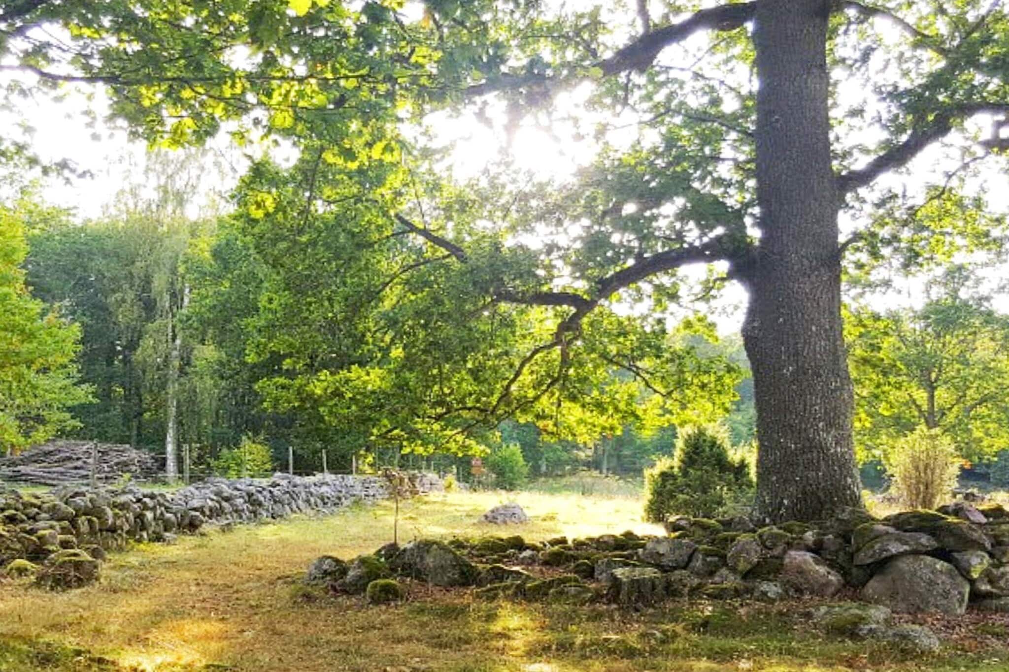 8 persoons vakantie huis in ANNEBY-By Traum - Niet-getagd