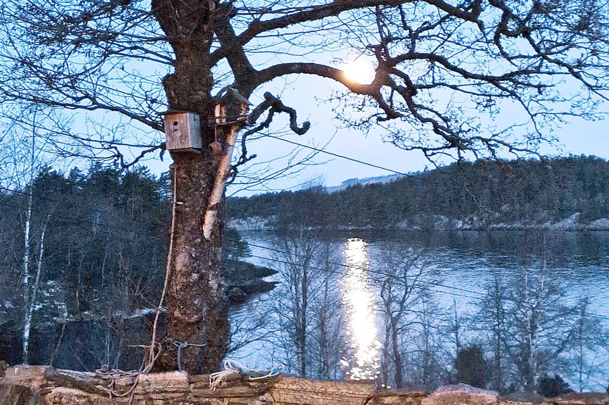 8 persoons vakantie huis in Masfjordnes-By Traum - Buitenlucht