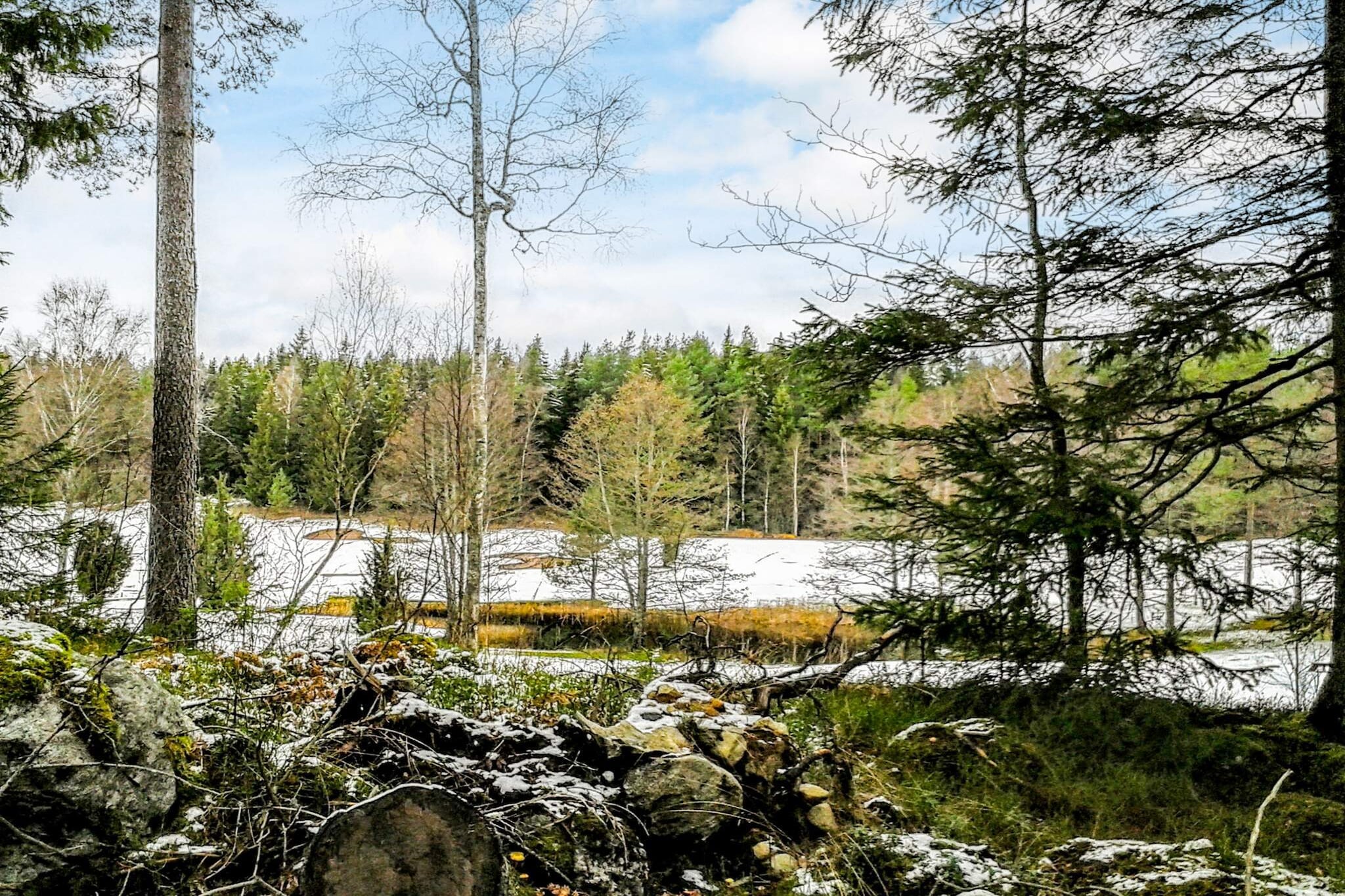 Annex: (double folding bed)\n\nKitchen(cooker(electric), hood, coffee machine, oven, microwave, fridge-freezer, water from well), Living/bed room(double folding bed), bedroom(single bed), conservatory(5 m2), heating(electric), garden, garden furniture, parking