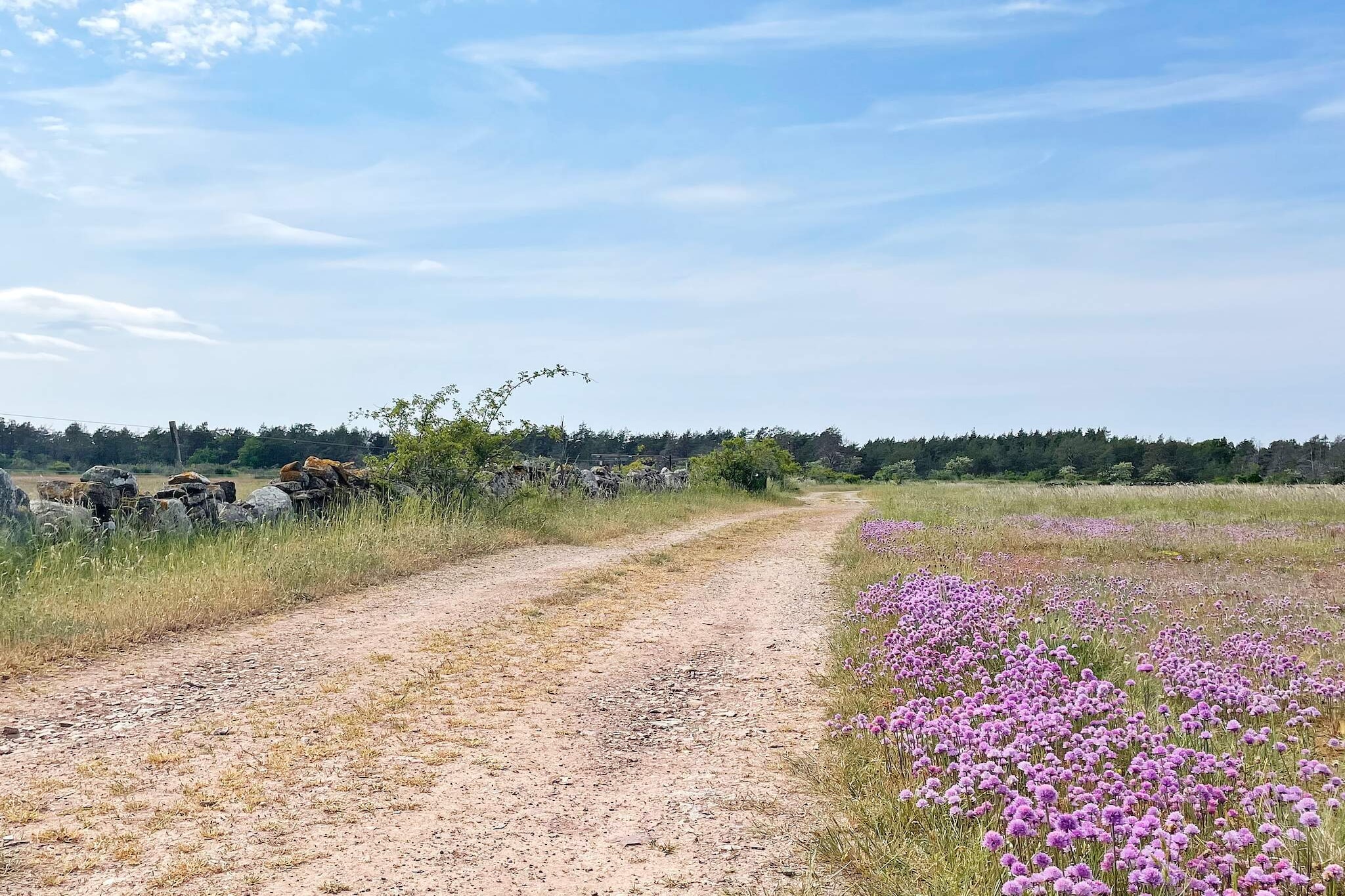 4 etoiles maison de vacances a LÖTTORP-By Traum - Non tagué