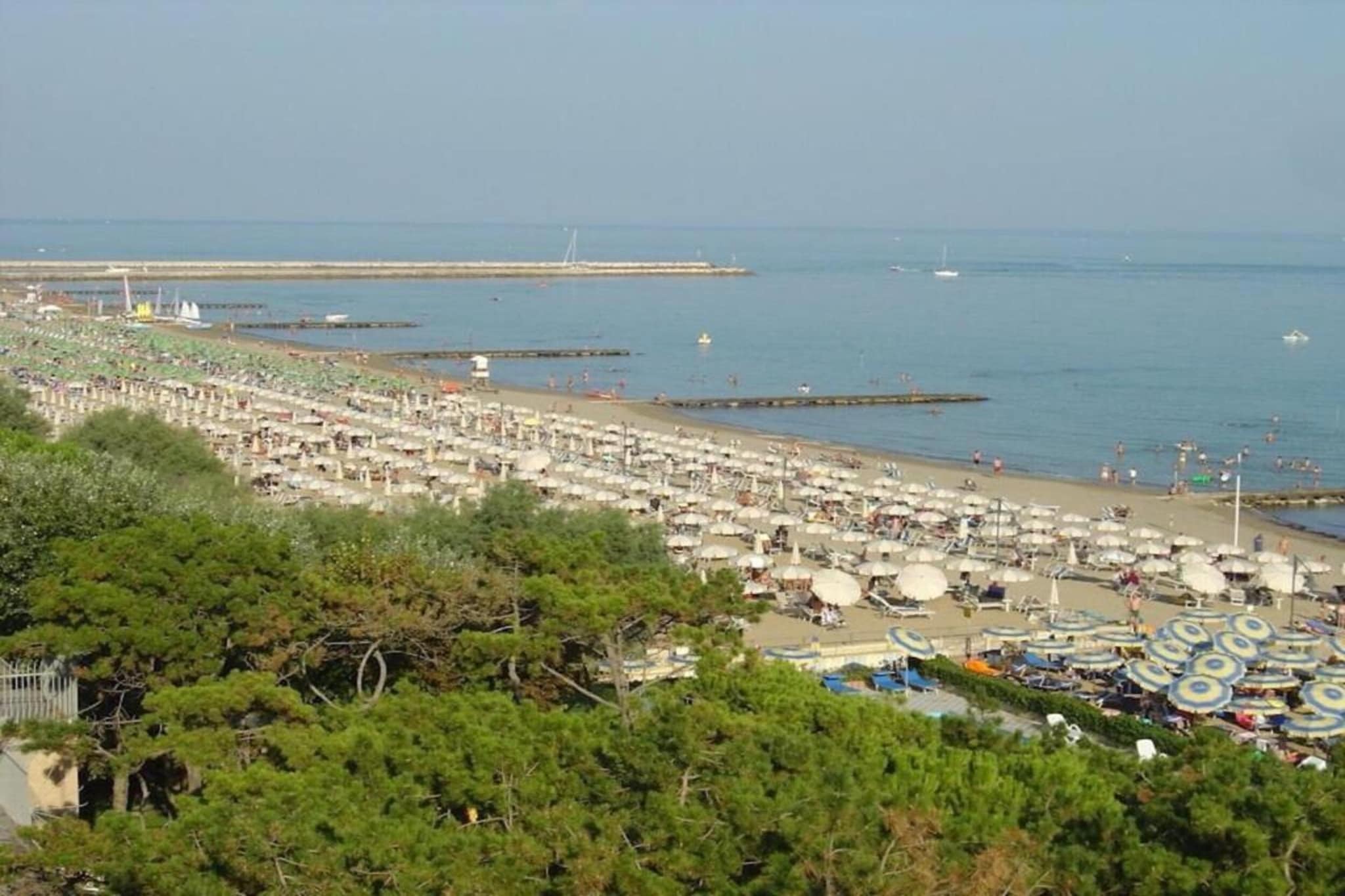 Ginepri C 10-Gebieden zomer 1km