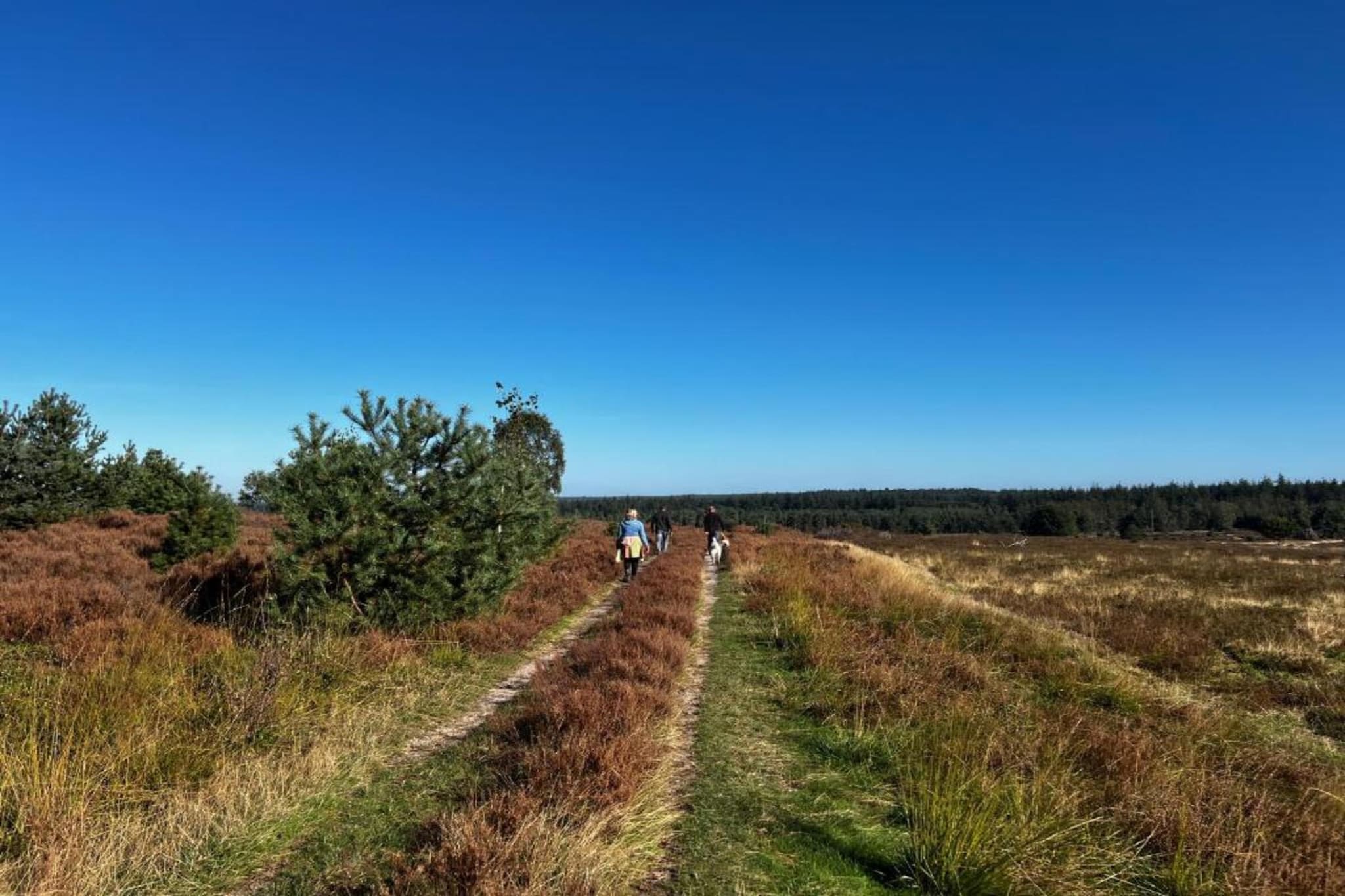 Park Haarle-Zones d'été à 20 km