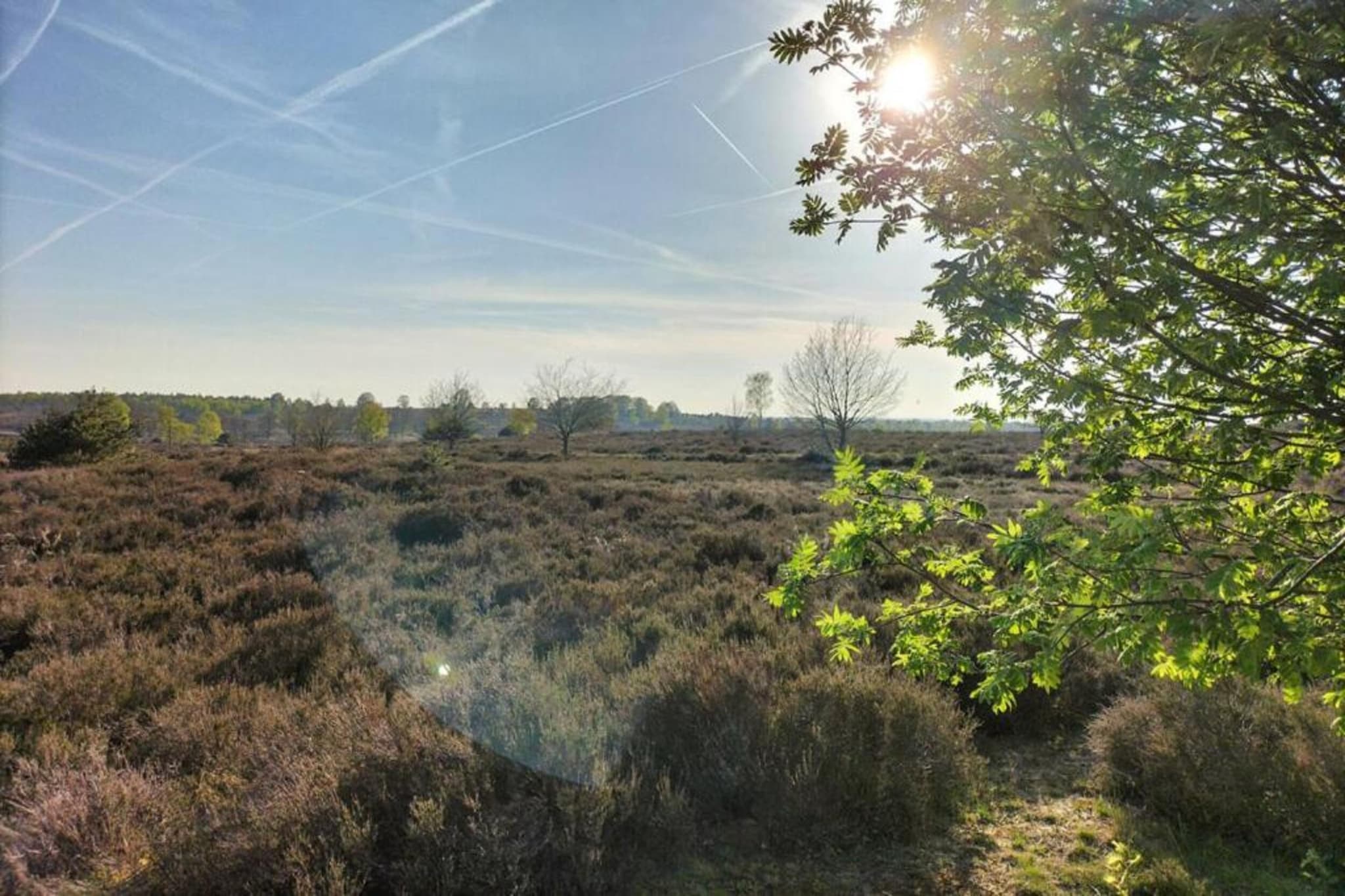 Park Haarle-Zones d'été à 20 km