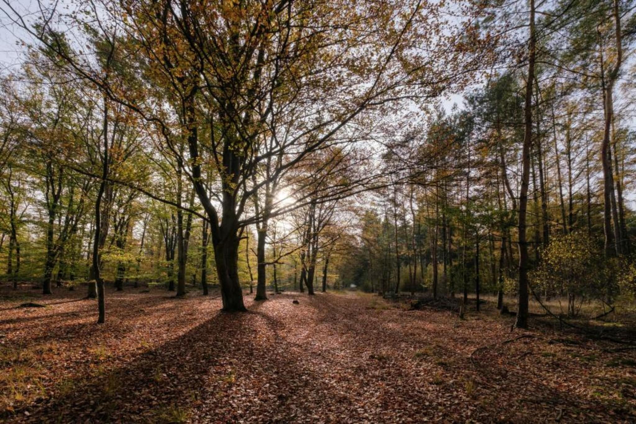Park Haarle-Zones d'été à 20 km
