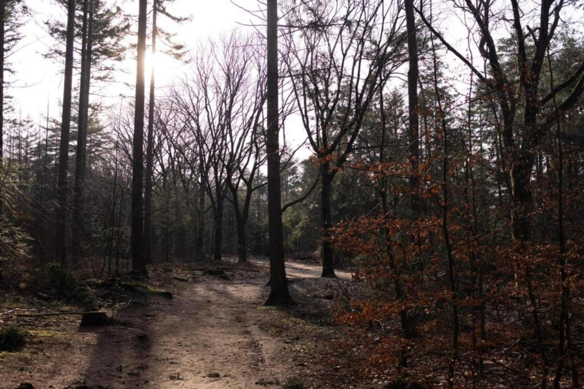 Park Haarle-Zones d'été à 20 km