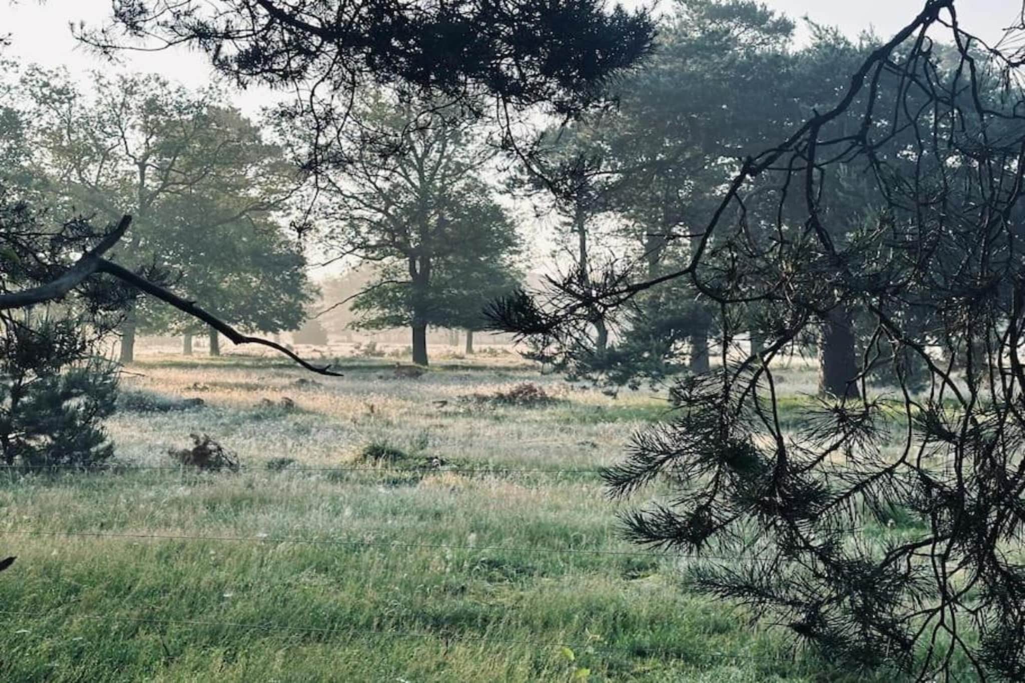 Park Haarle-Gebieden zomer 5km