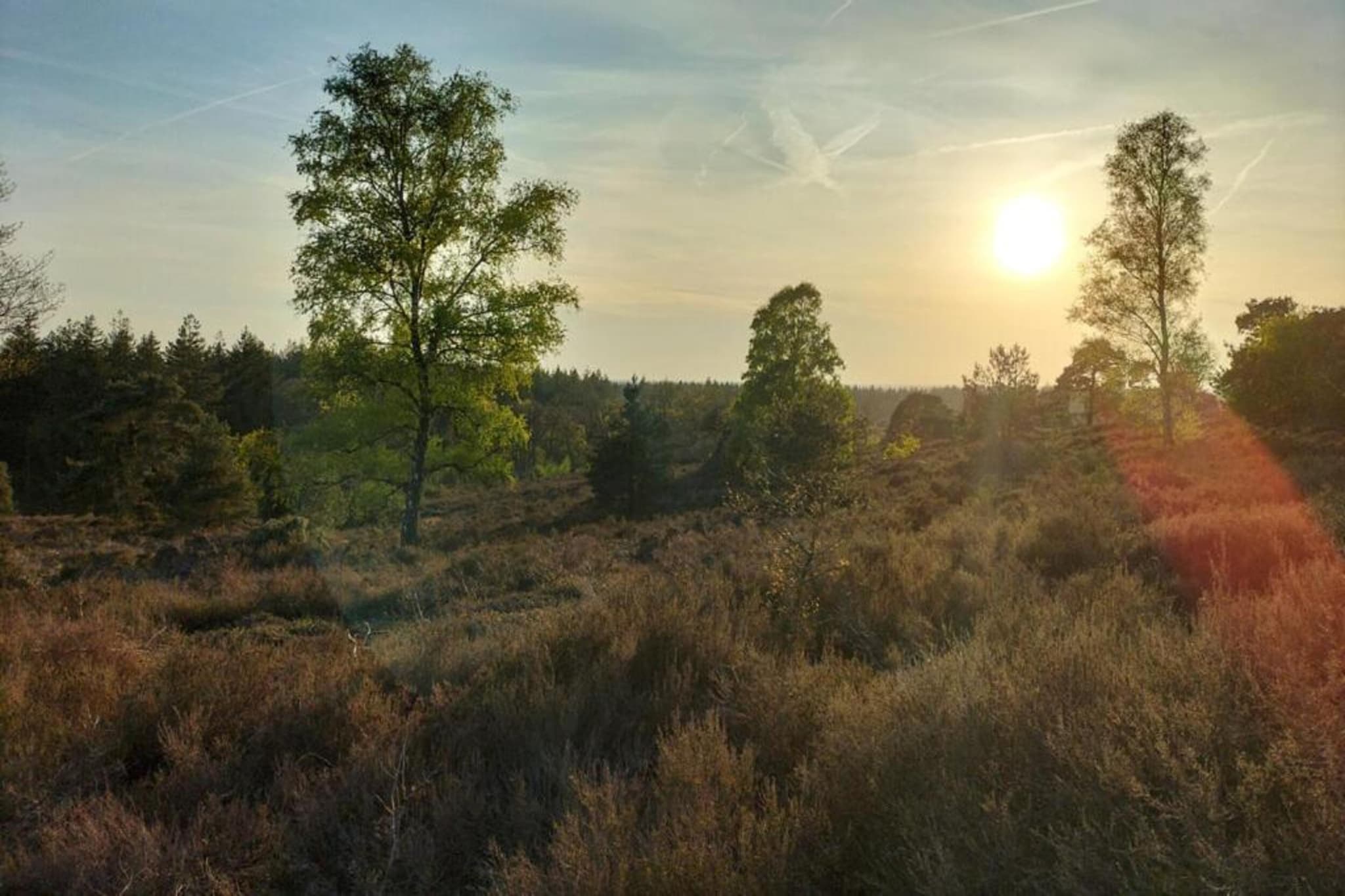 Park Haarle-Gebieden zomer 5km