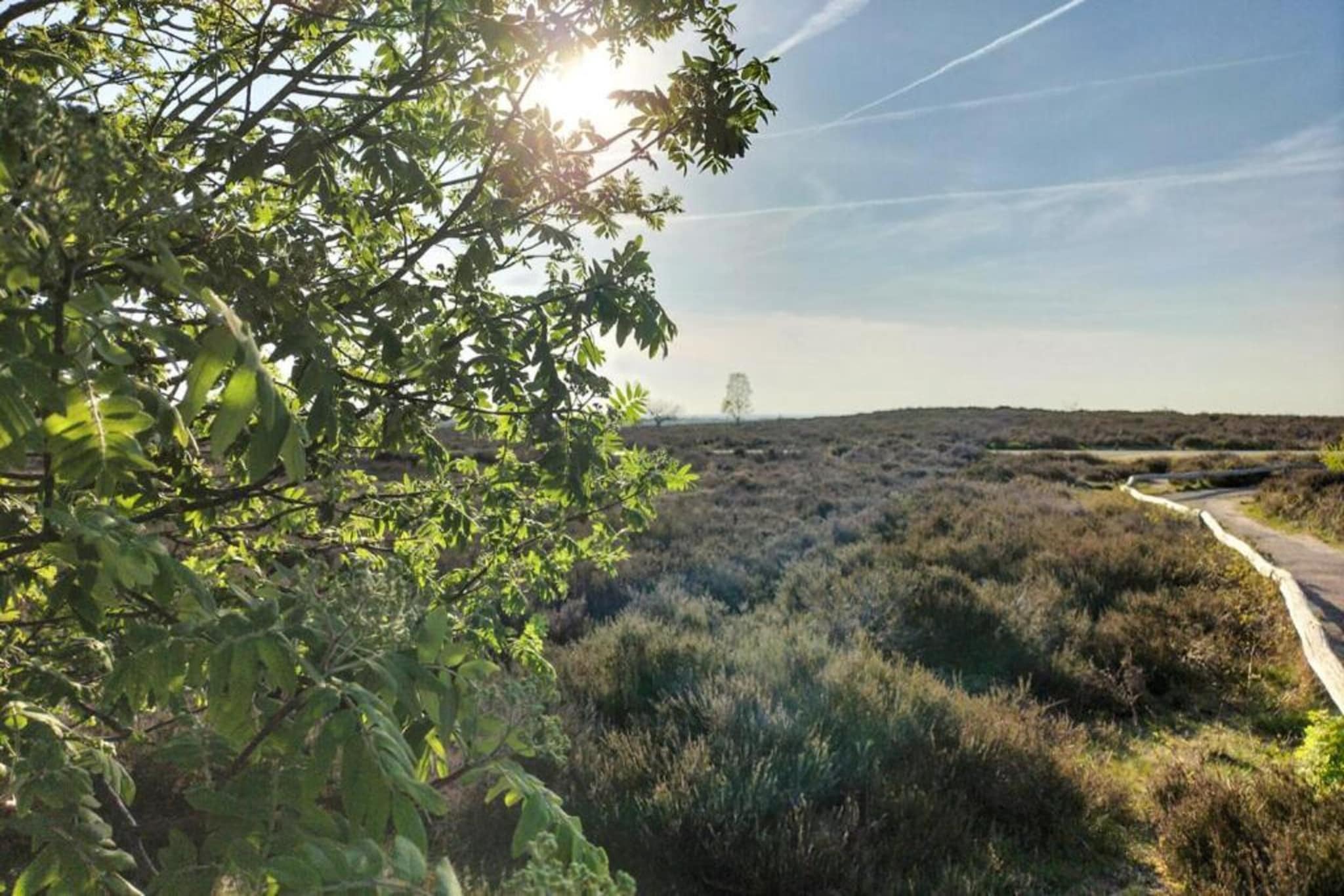 Park Haarle-Gebieden zomer 5km