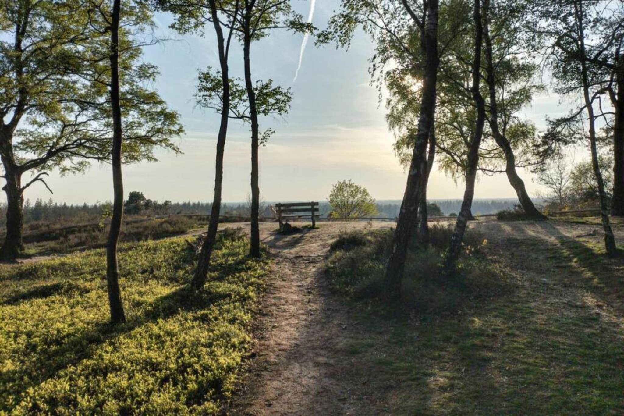 Park Haarle-Gebieden zomer 5km