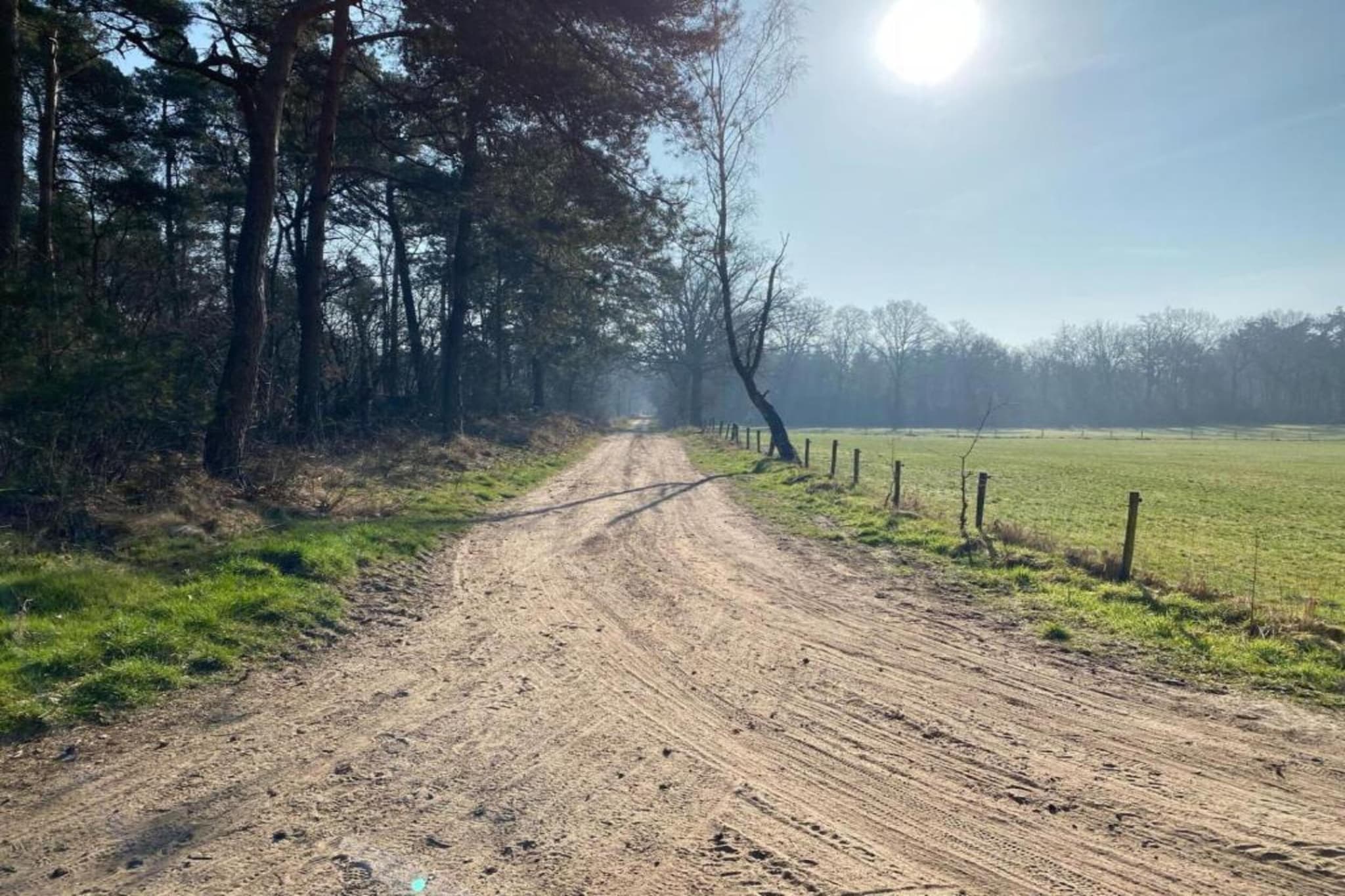 Park Haarle-Gebieden zomer 5km