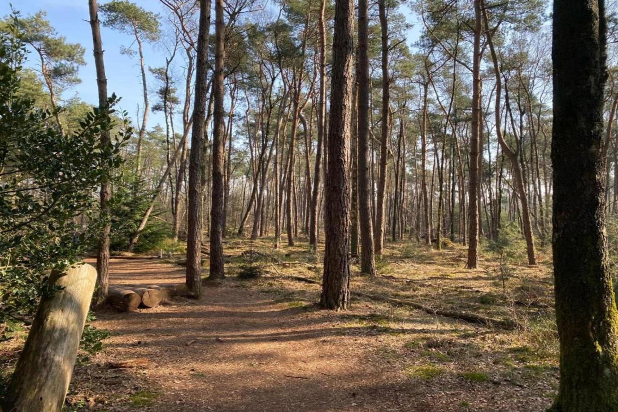 Park Haarle-Gebieden zomer 5km