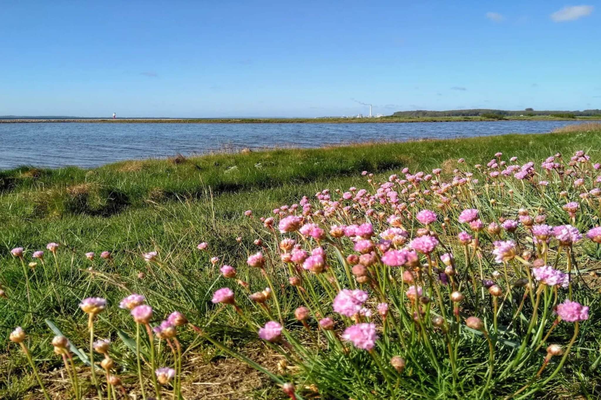 4 Sterne Ferienhaus in Rønde-By Traum-Wasserblick