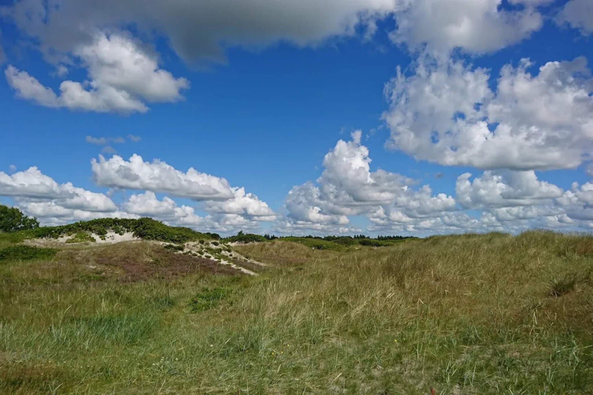 4 etoiles maison de vacances a Hals-By Traum-Vue sur l'eau