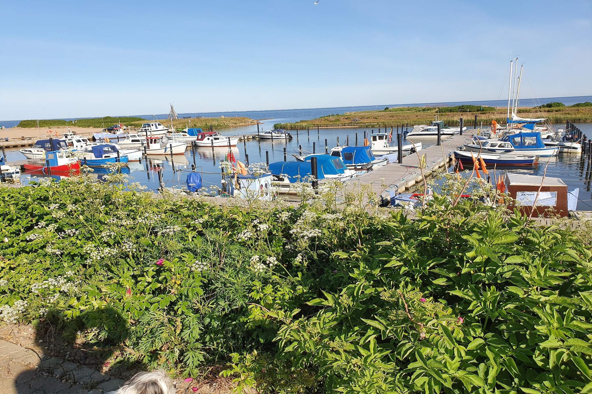 5 Personen Ferienhaus in Tarm-By Traum-Wasserblick