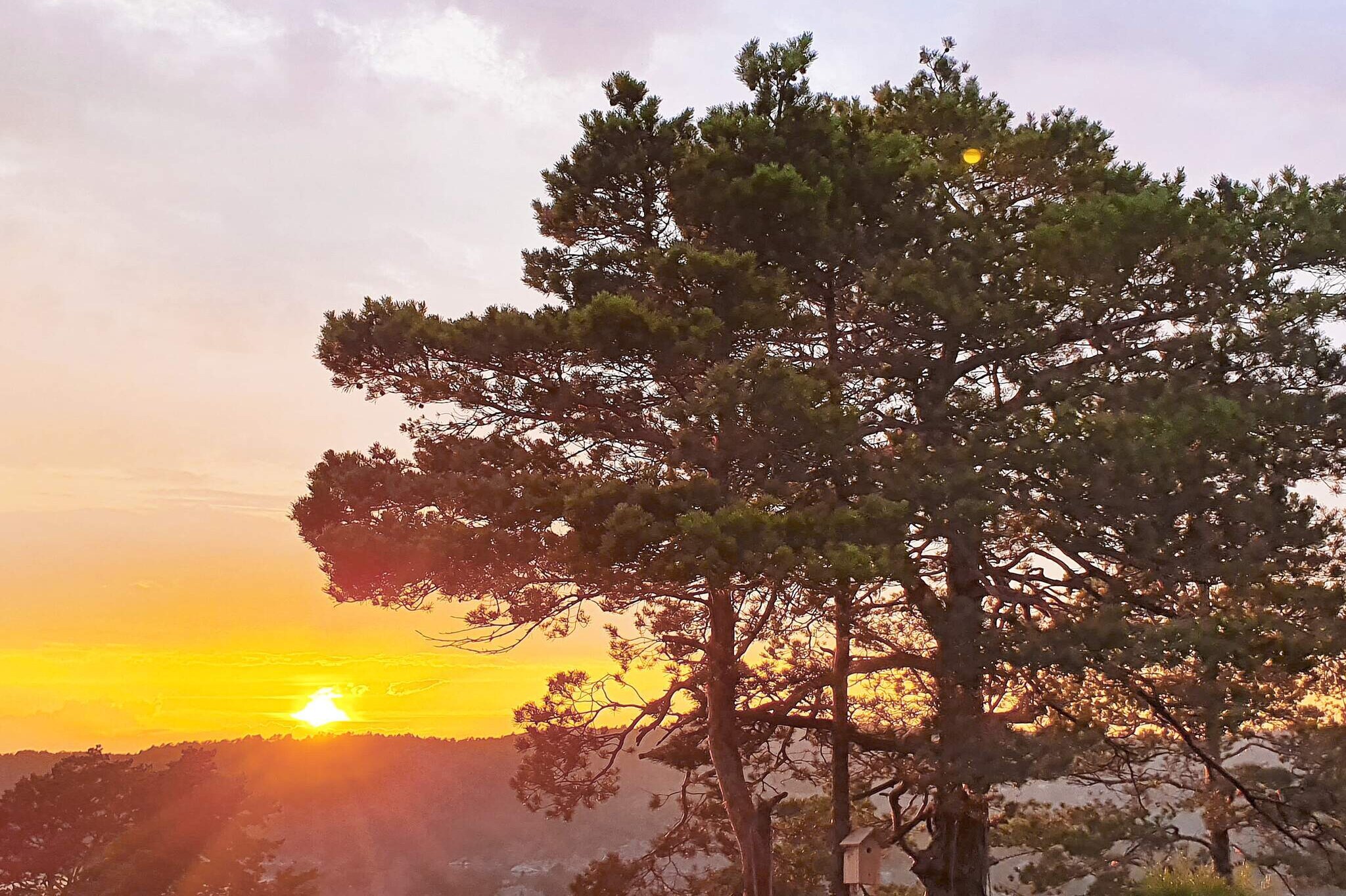 8 person holiday home in Risør-By Traum