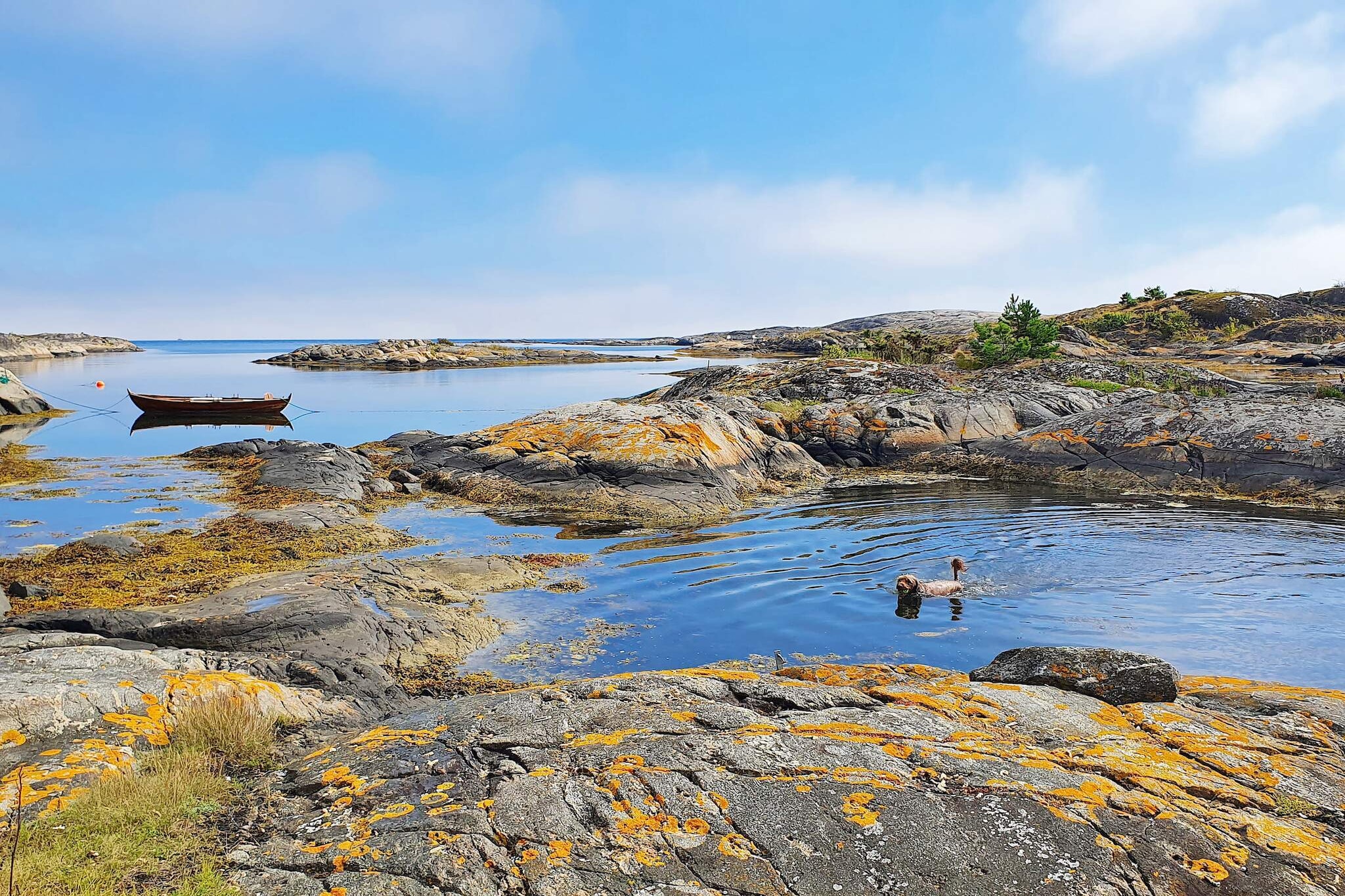 Maison de vacances pour 8 a Risør-By Traum - Non tagué