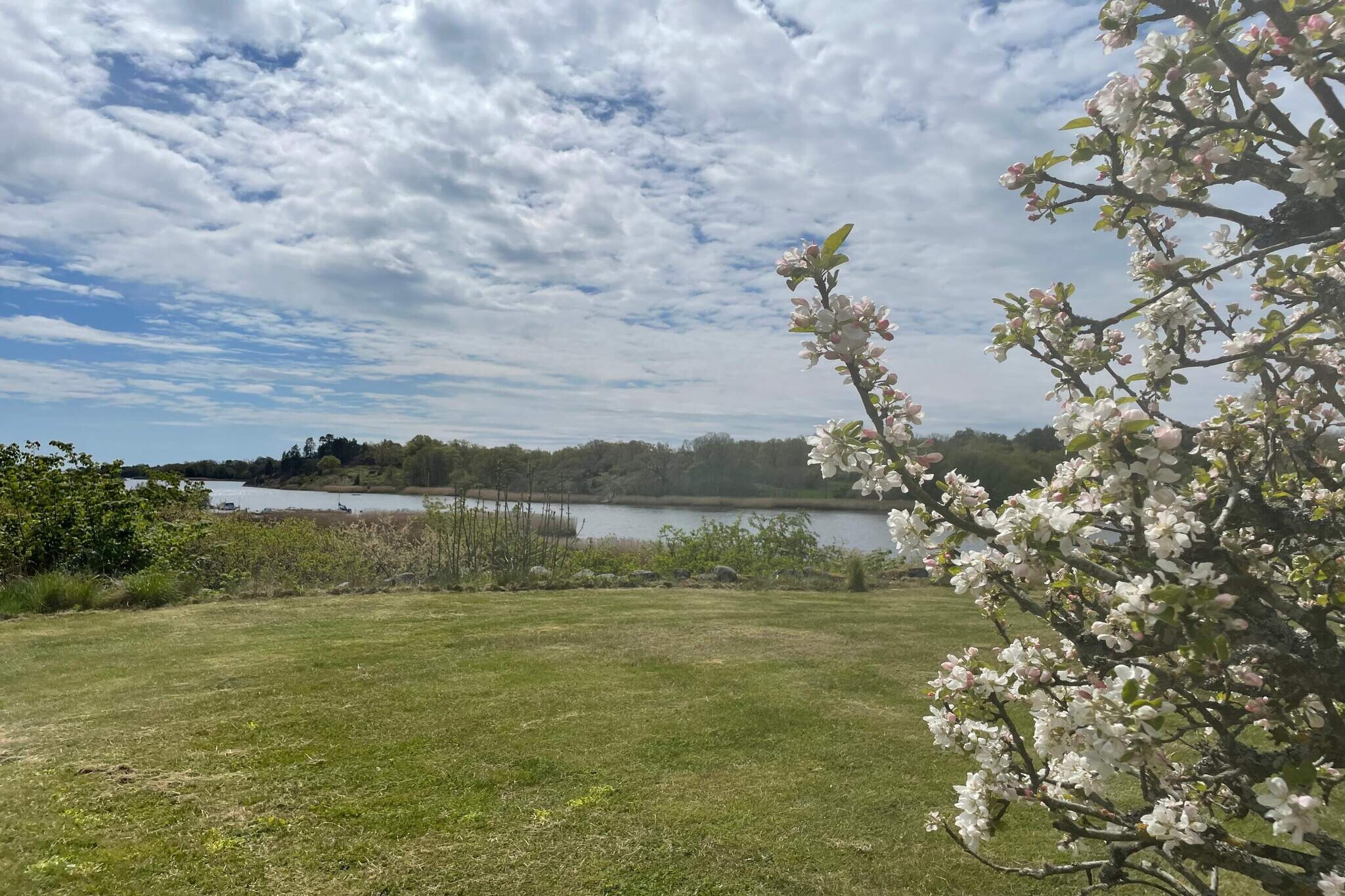 Living room(2x single bed), Kitchen(cooker(electric), coffee machine, microwave, dishwasher, fridge-freezer), Living/bed room(single folding bed), bedroom(double bed), bathroom(washbasin, shower, toilet, washing machine), balcony, heating(electric), garden furniture, parking, deckchairs, air to air heatpump