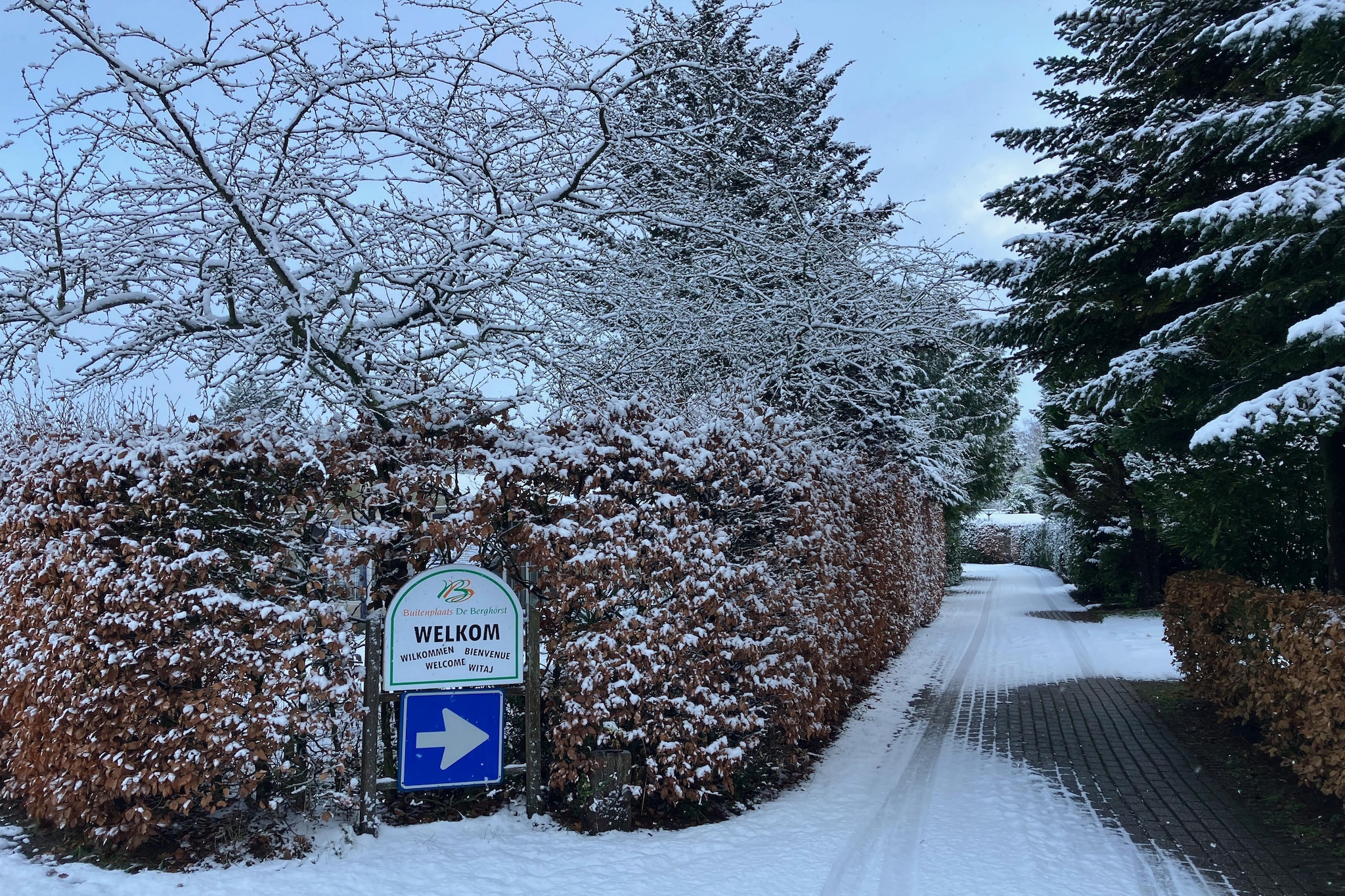 Knus chalet In een rustige omgeving met vijver - Gebied winter 1km