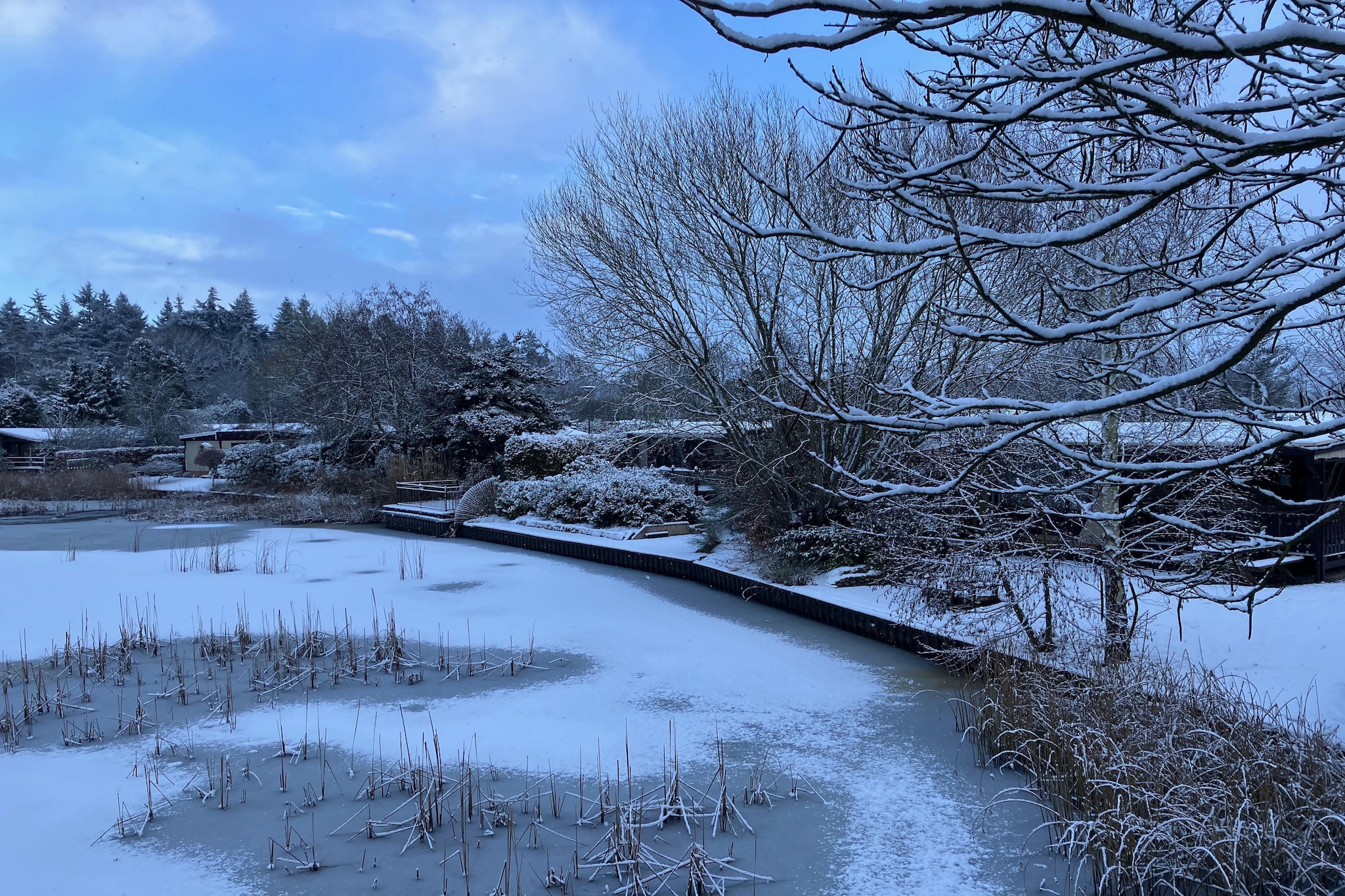 Knus chalet In een rustige omgeving met vijver - Gebied winter 1km