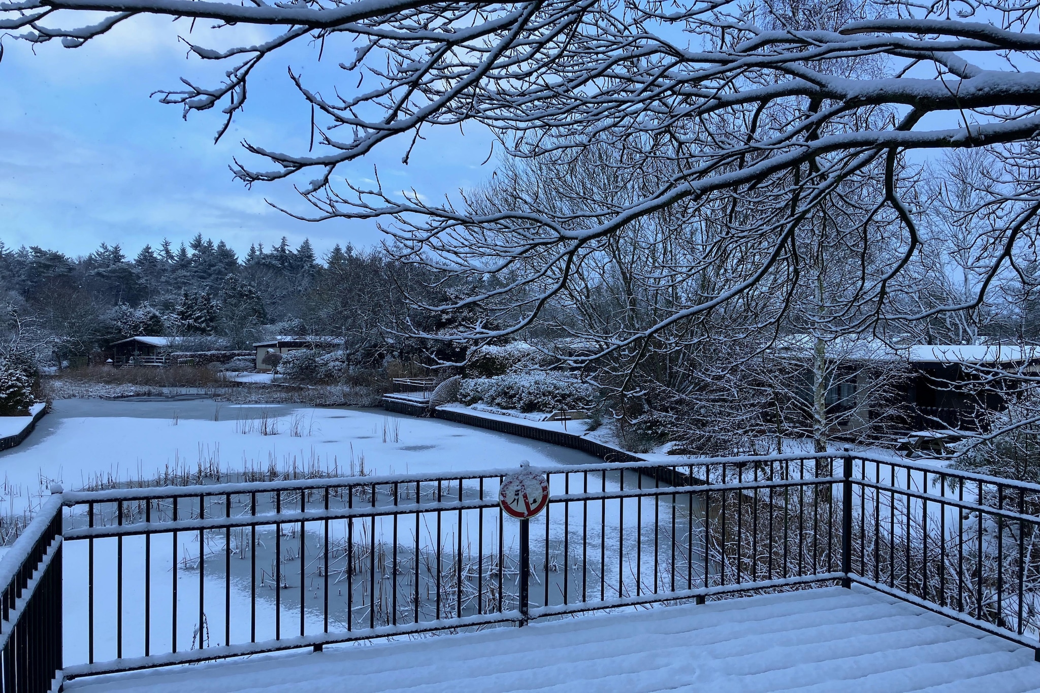 Knus chalet In een rustige omgeving met vijver - Uitzicht winter