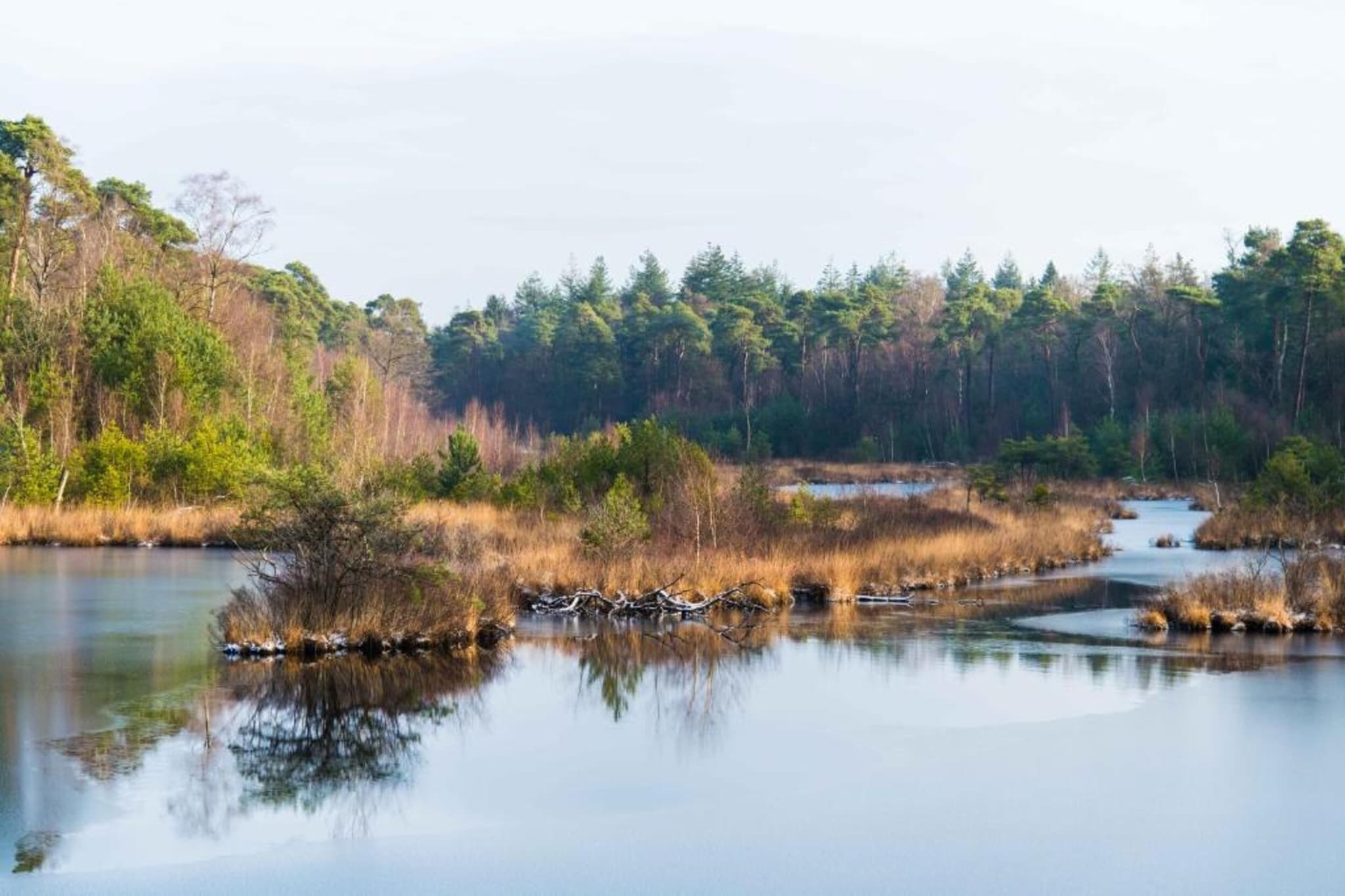 Vakantiepark Molenvelden 11-Gebieden zomer 20km