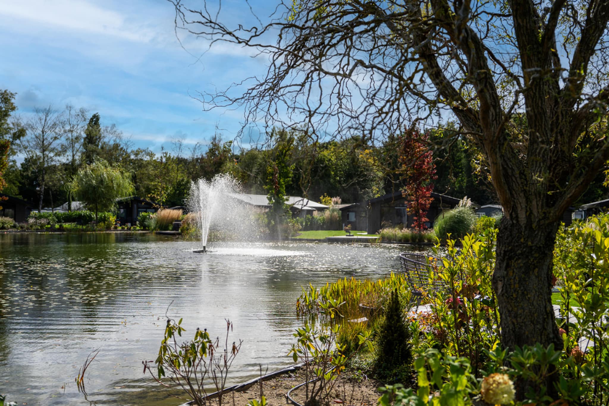 Vakantiepark Molenvelden 11-Gebiete Sommer 1 km