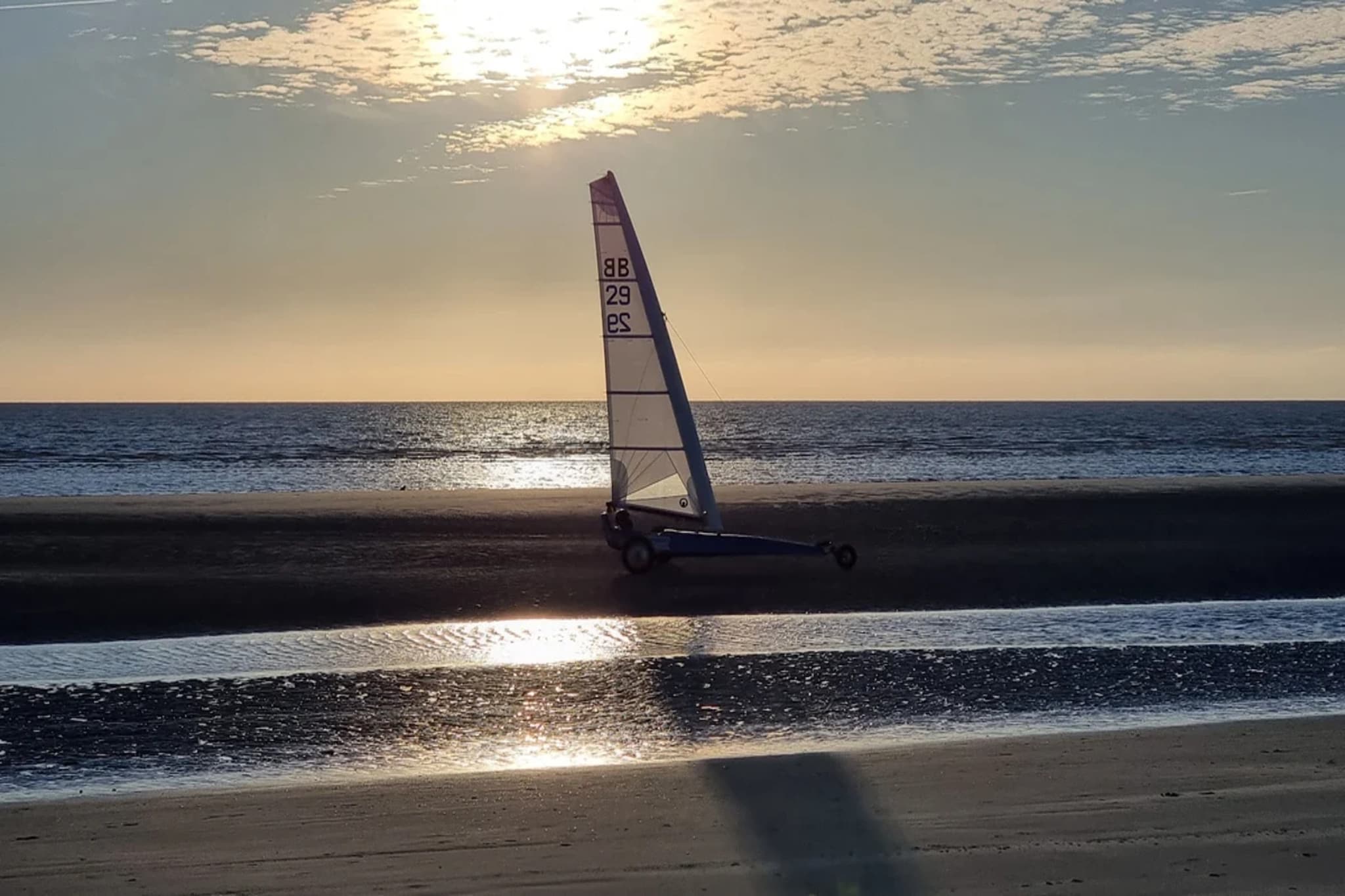 Stranddistel-Gebieden zomer 5km