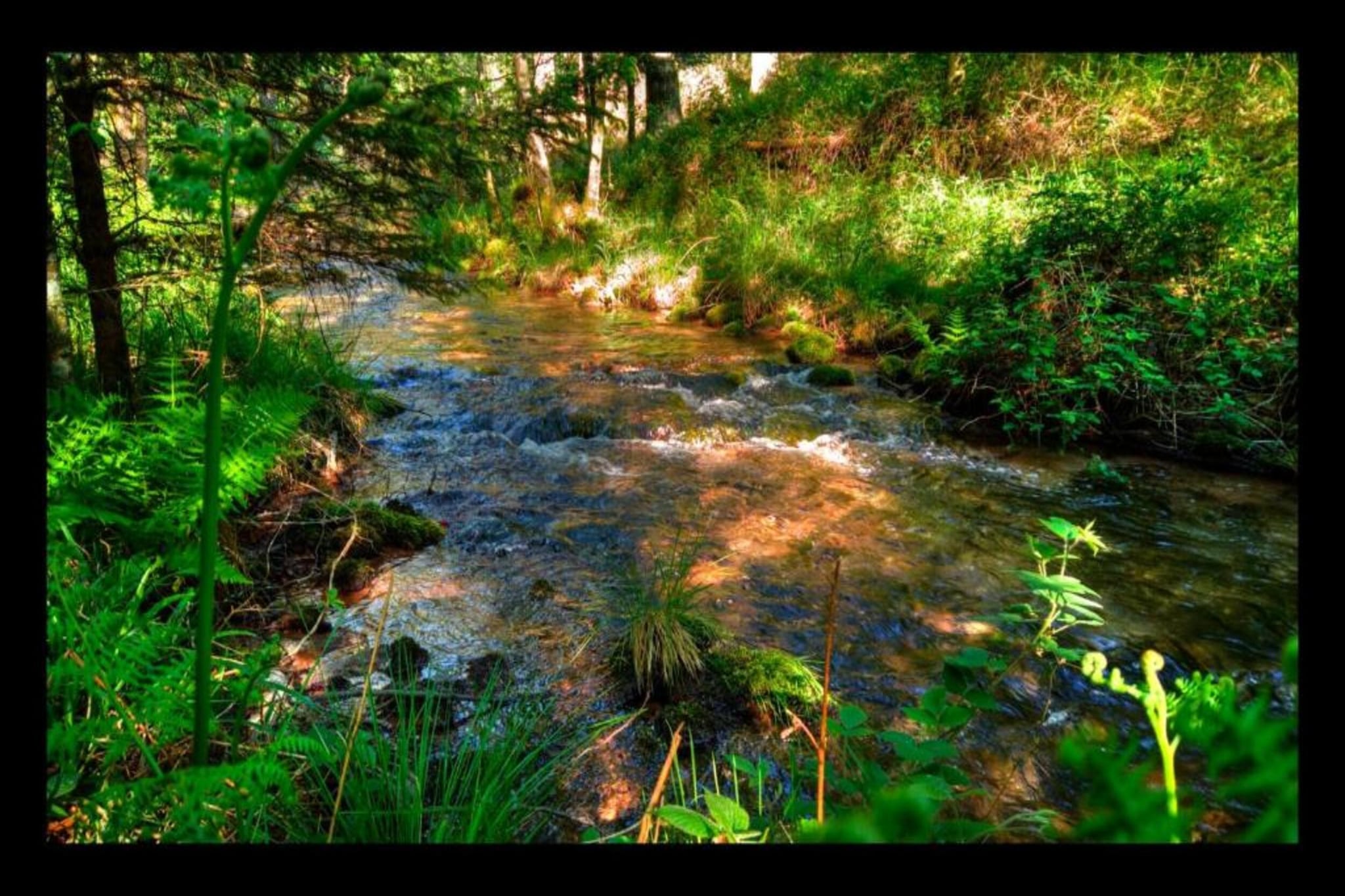 Gîte "Au bord de l'Eau "-Gebieden zomer 20km