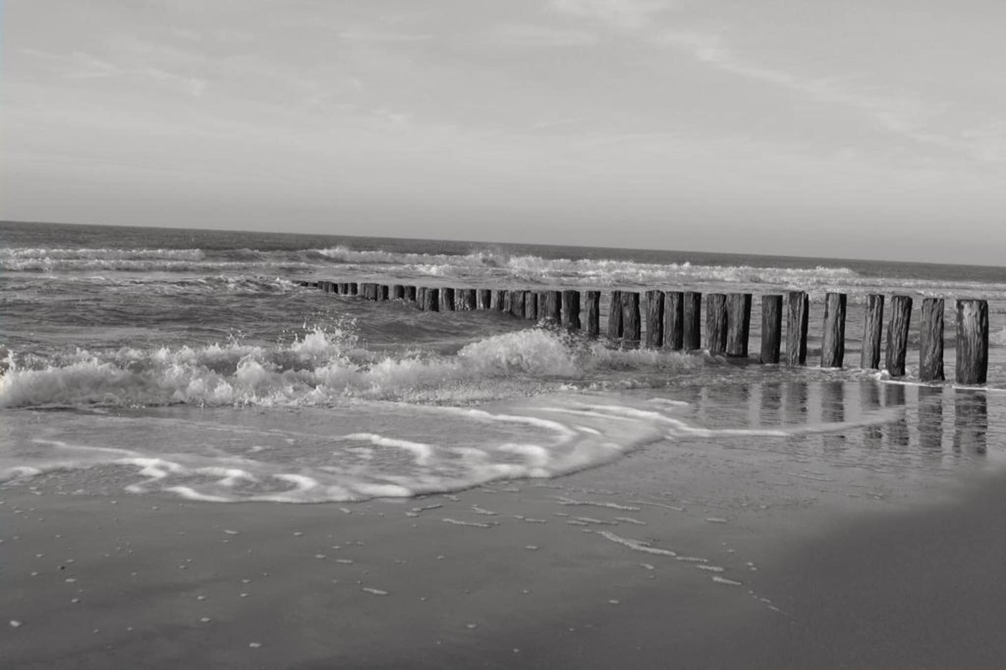 Vakantiewoning - Horizon 14  Renesse-Gebieden zomer 20km