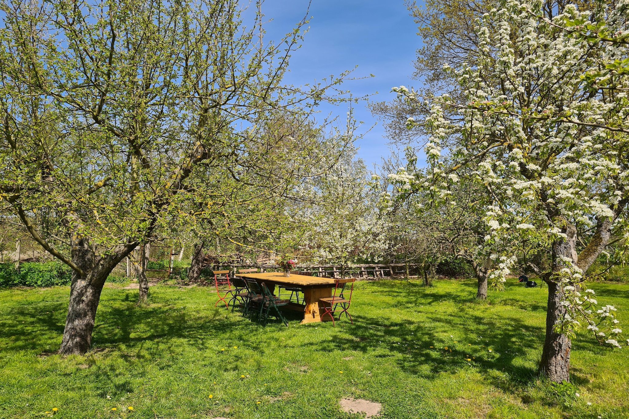 Garden Summer