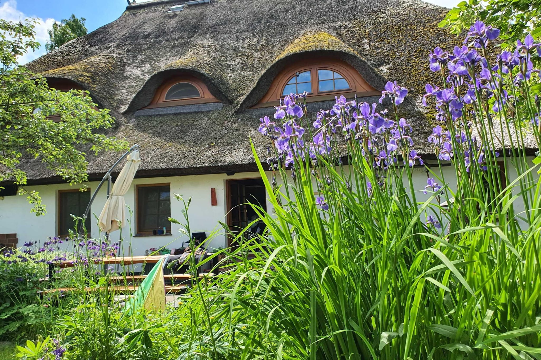 Garden Summer