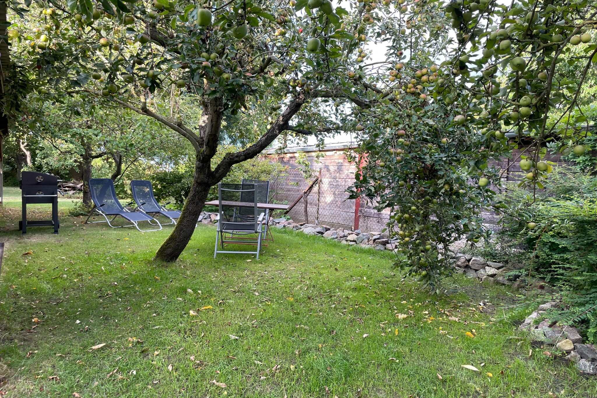 Garden Summer