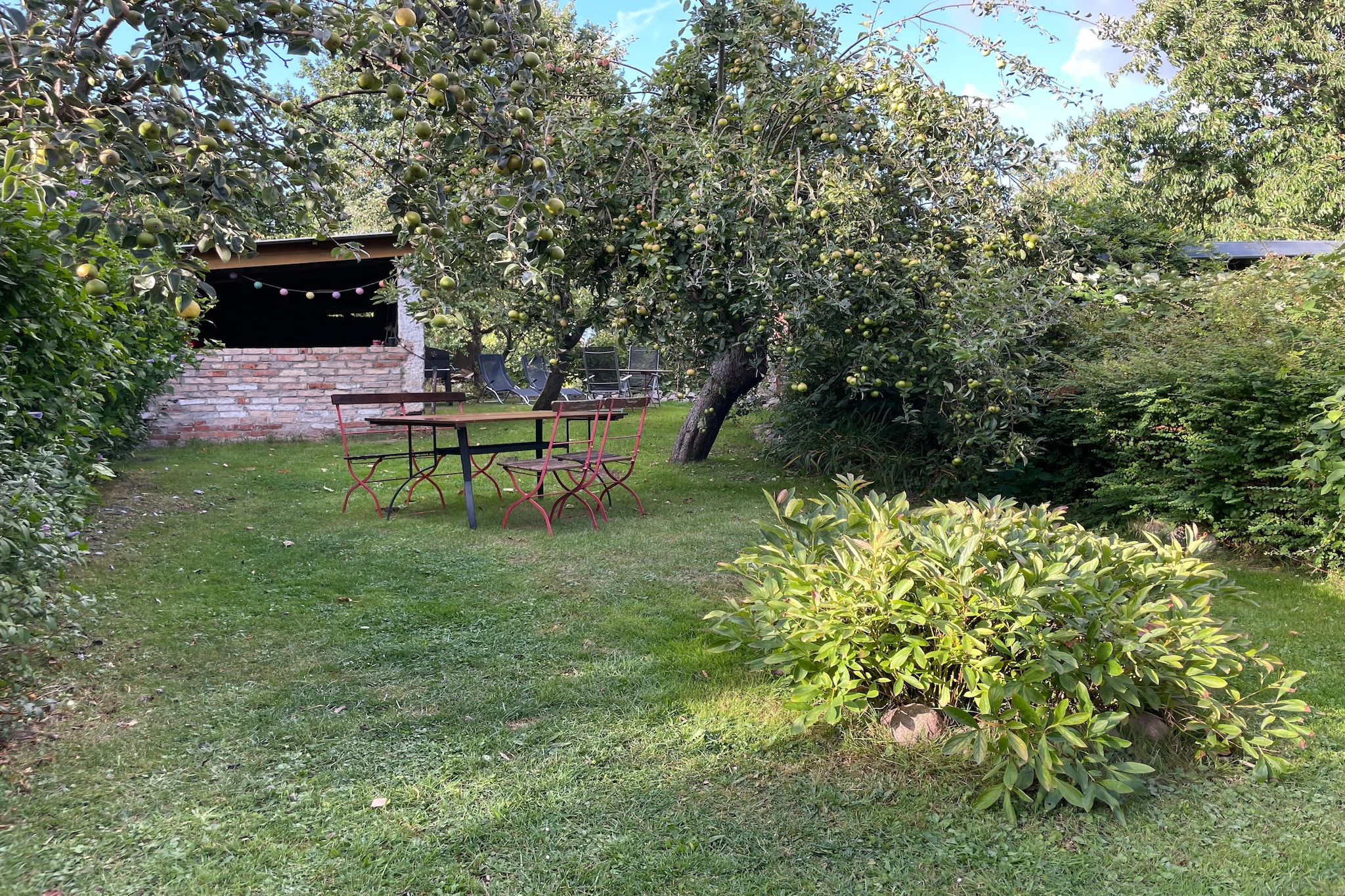 Garden Summer