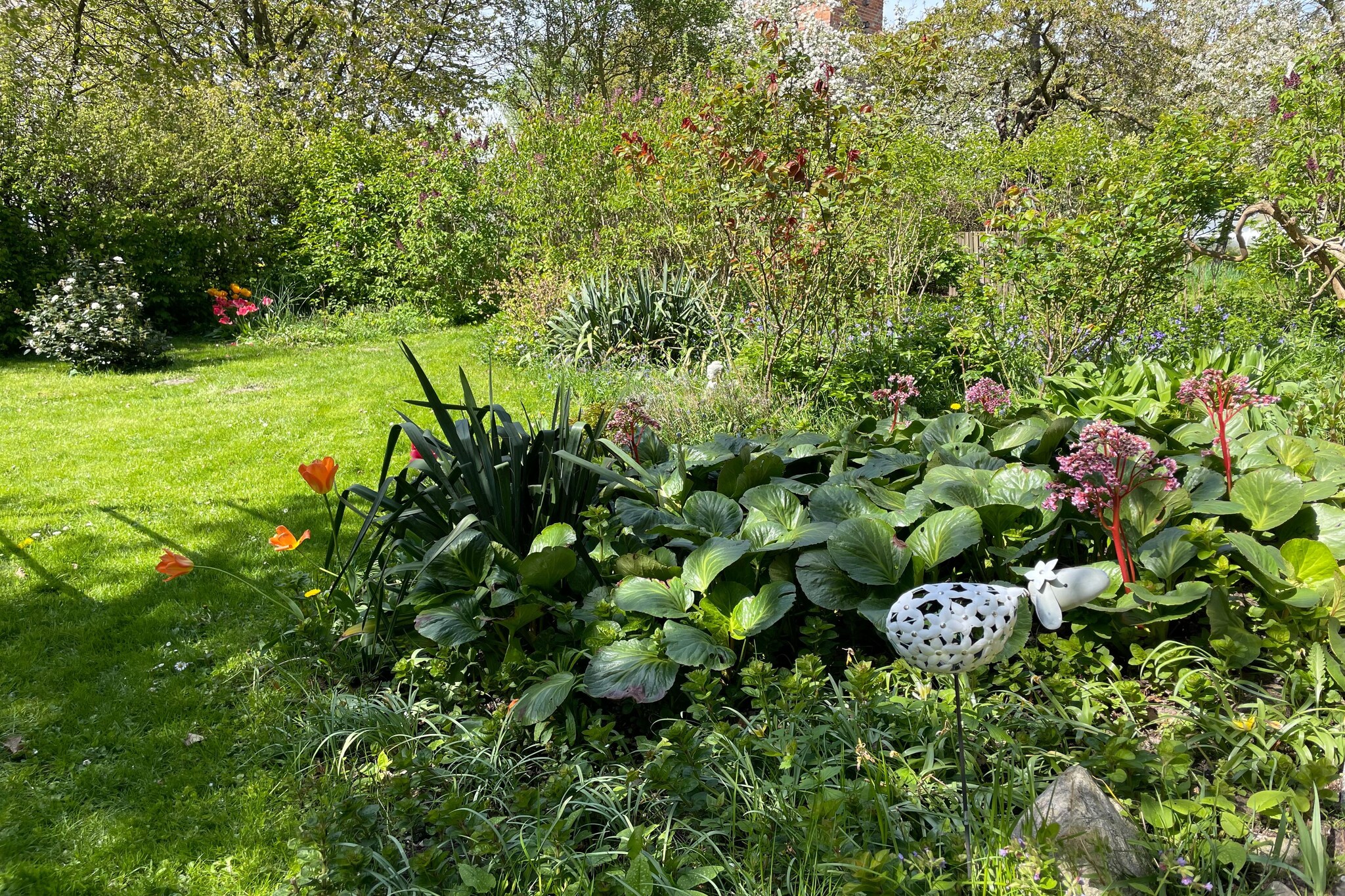 Garden Summer