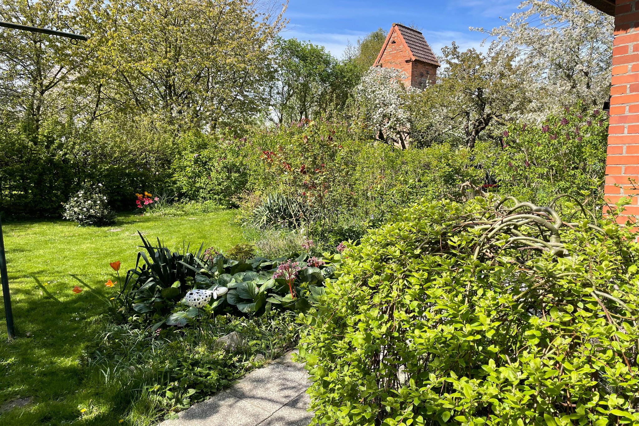 Garden Summer