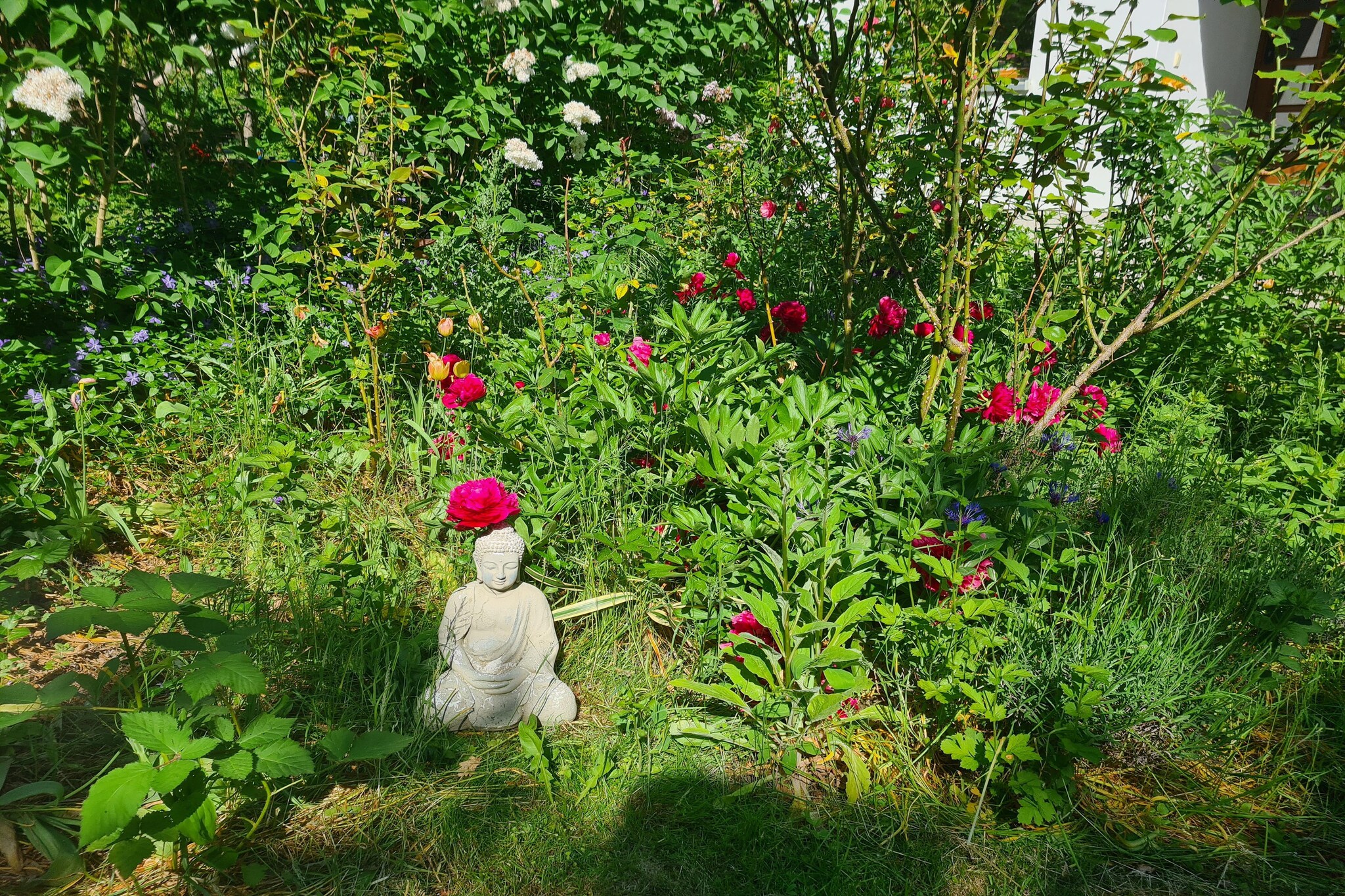 Garden Summer