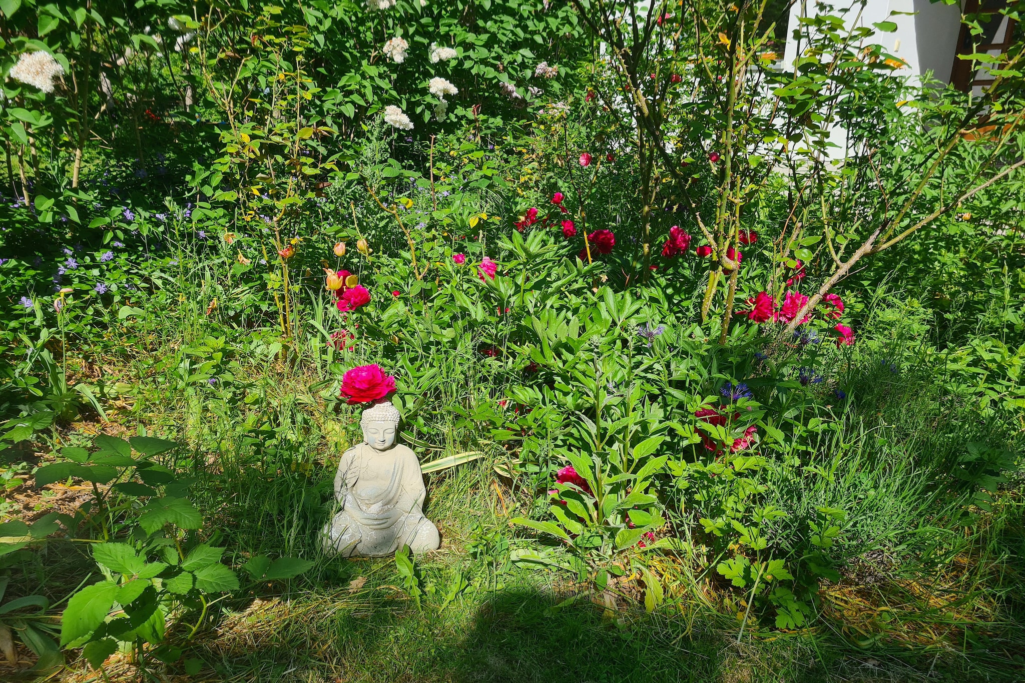 Garden Summer