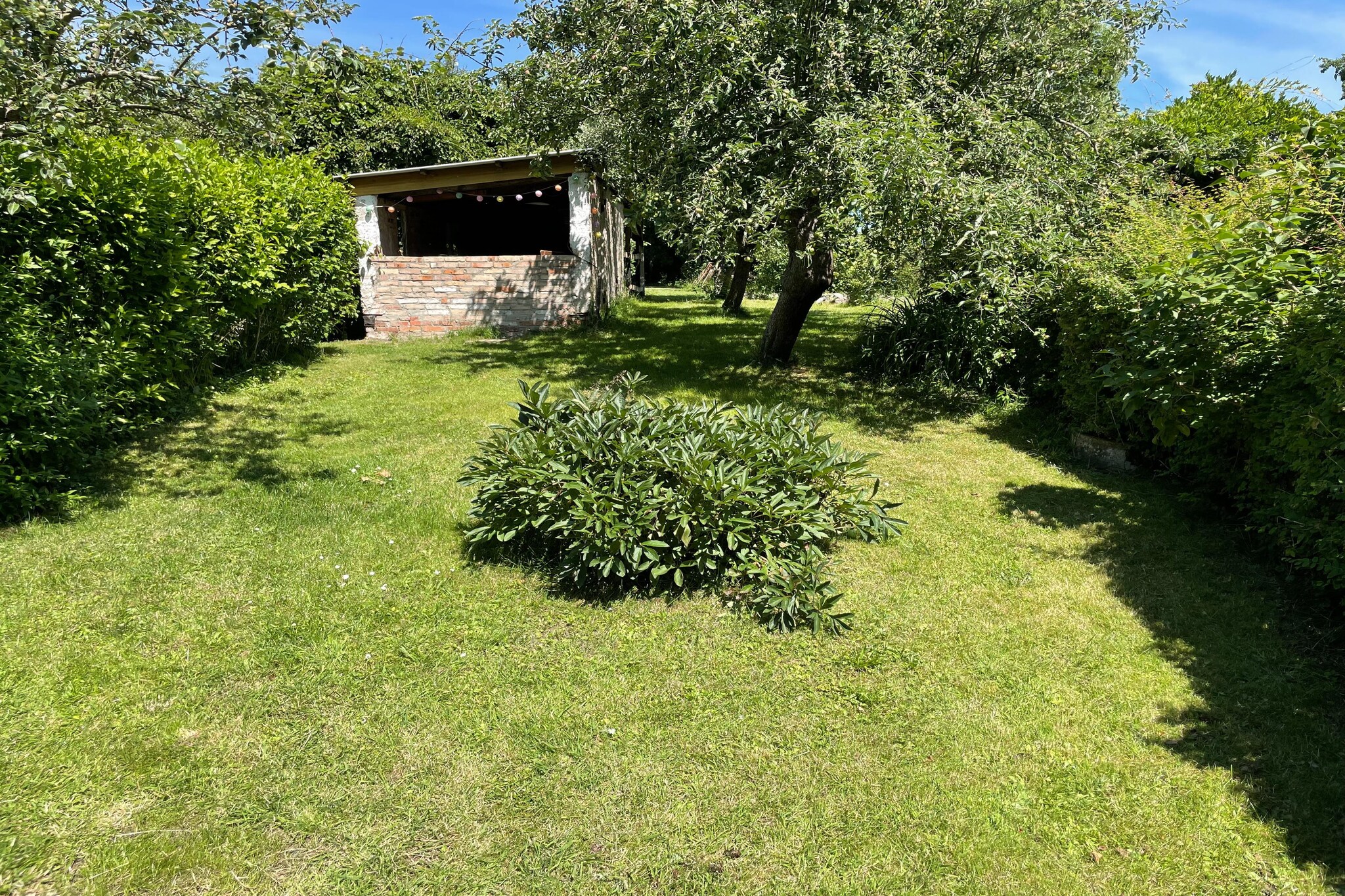 Garden Summer