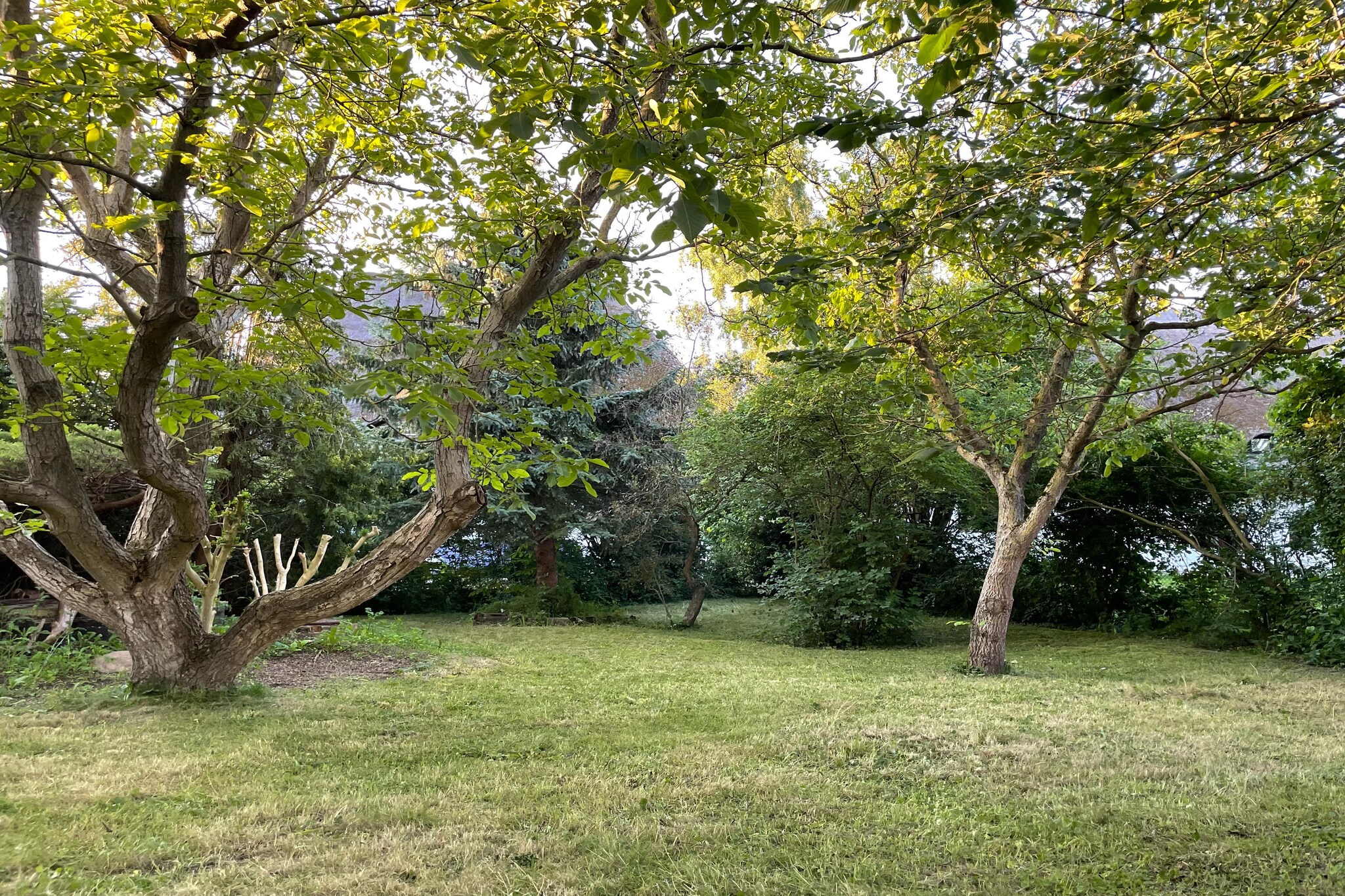 Garden Summer